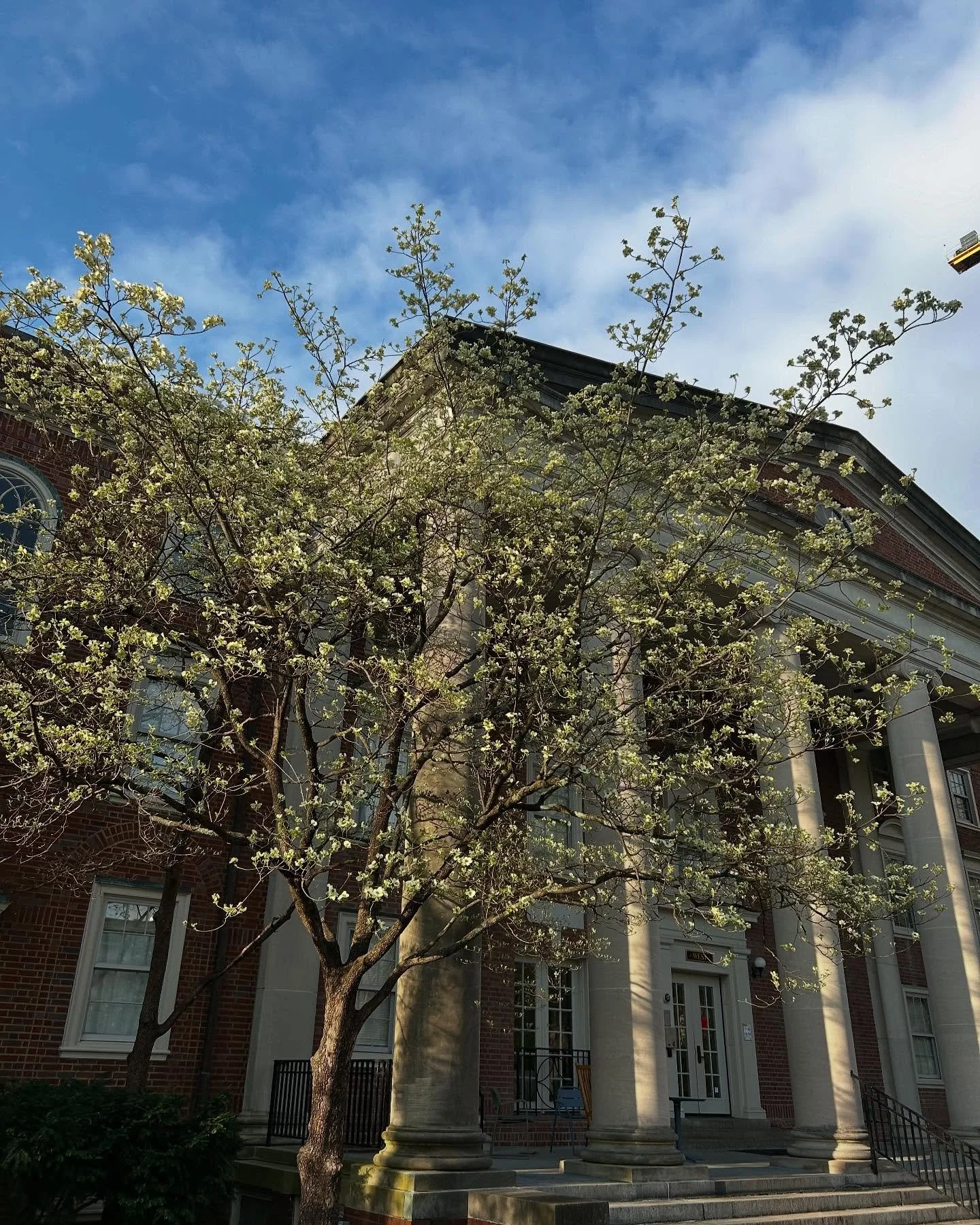 SPRING HAS SPRUNG! 💐

Here&rsquo;s a lil update on what I&rsquo;ve been up to over this winter:

-premiere of Windchill with the @blaircompforum in February! ❄️ My improvisatory audience piano part worked flawlessly thanks to a very courageous @will