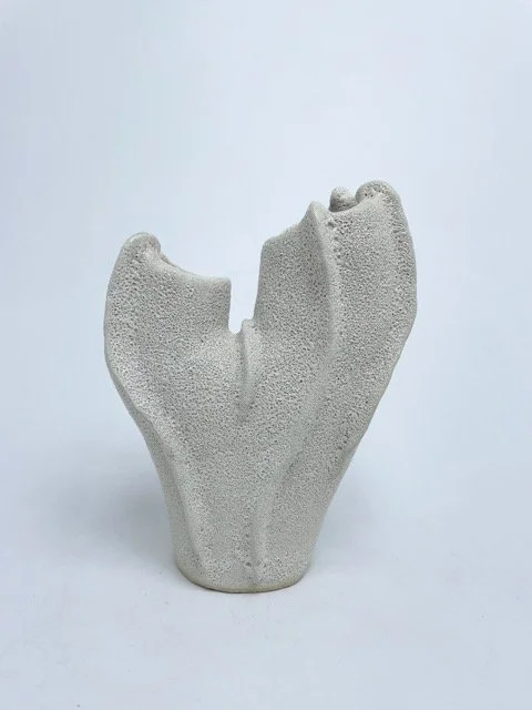 IMG_8461 Medium.jpeg