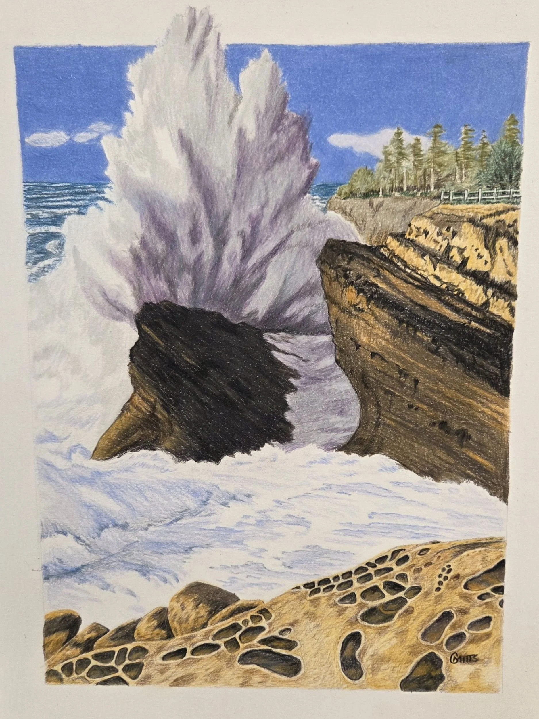 A colorful pencil sketch of a wild coastline, huge waves breaking over the rocks, swirling, foamy ocean in the foreground, and cliffs and evergreen trees in the background.
