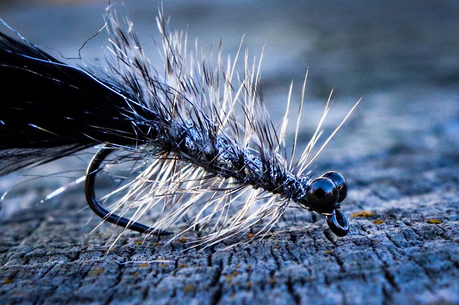 F103EAB6-397D-4542-8381-917F55481E53.jpeg