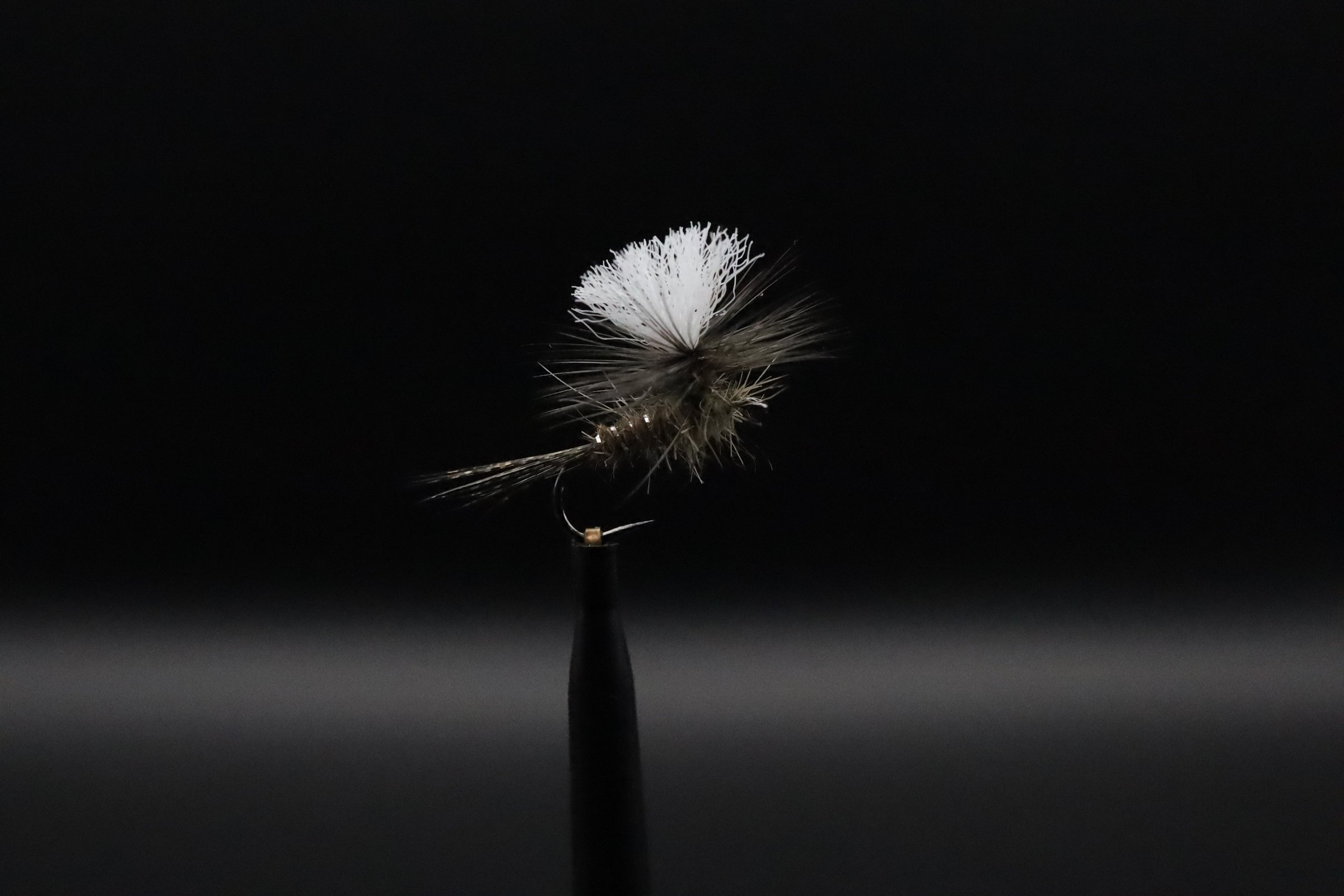 EDFB8322-95F2-4BCD-BCD7-A768E2618545.jpeg