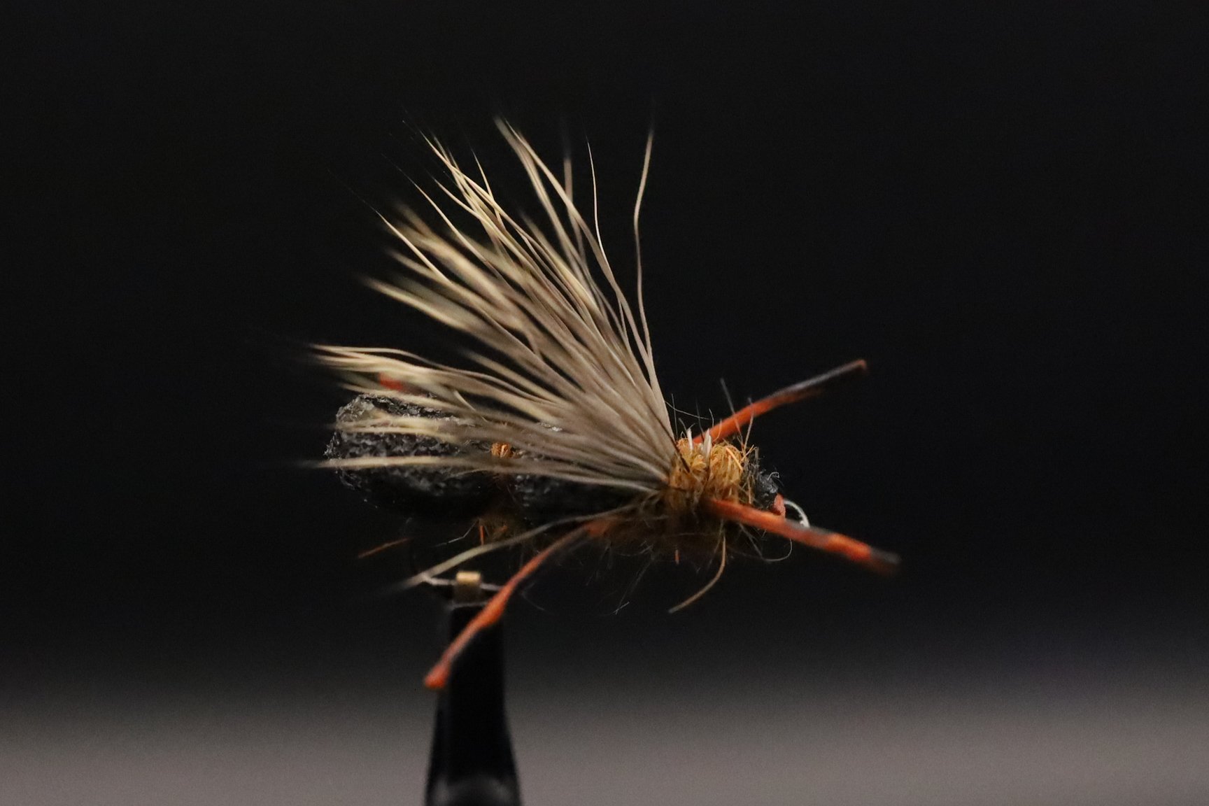 D2748C4D-F1B5-4382-8C8A-ED7D3E4C8F13.jpeg