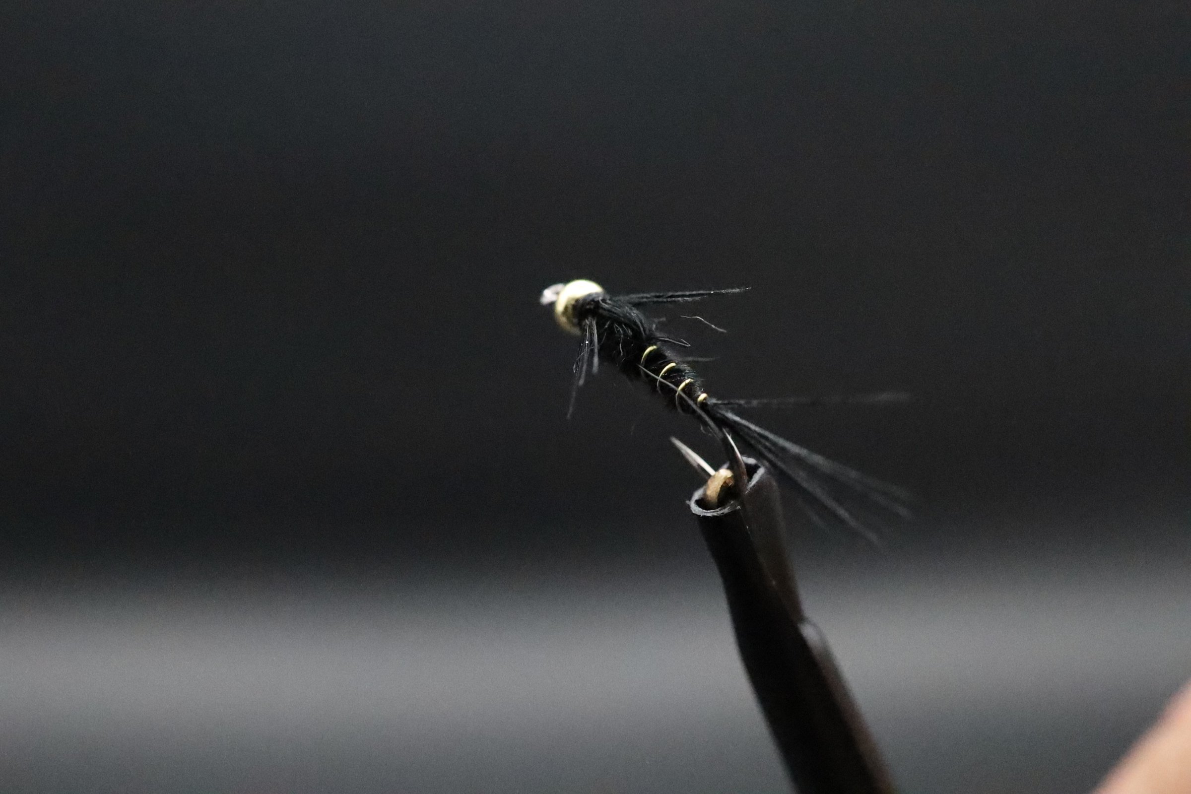 68F13512-1263-4D85-B256-02E9778C60BC.jpeg