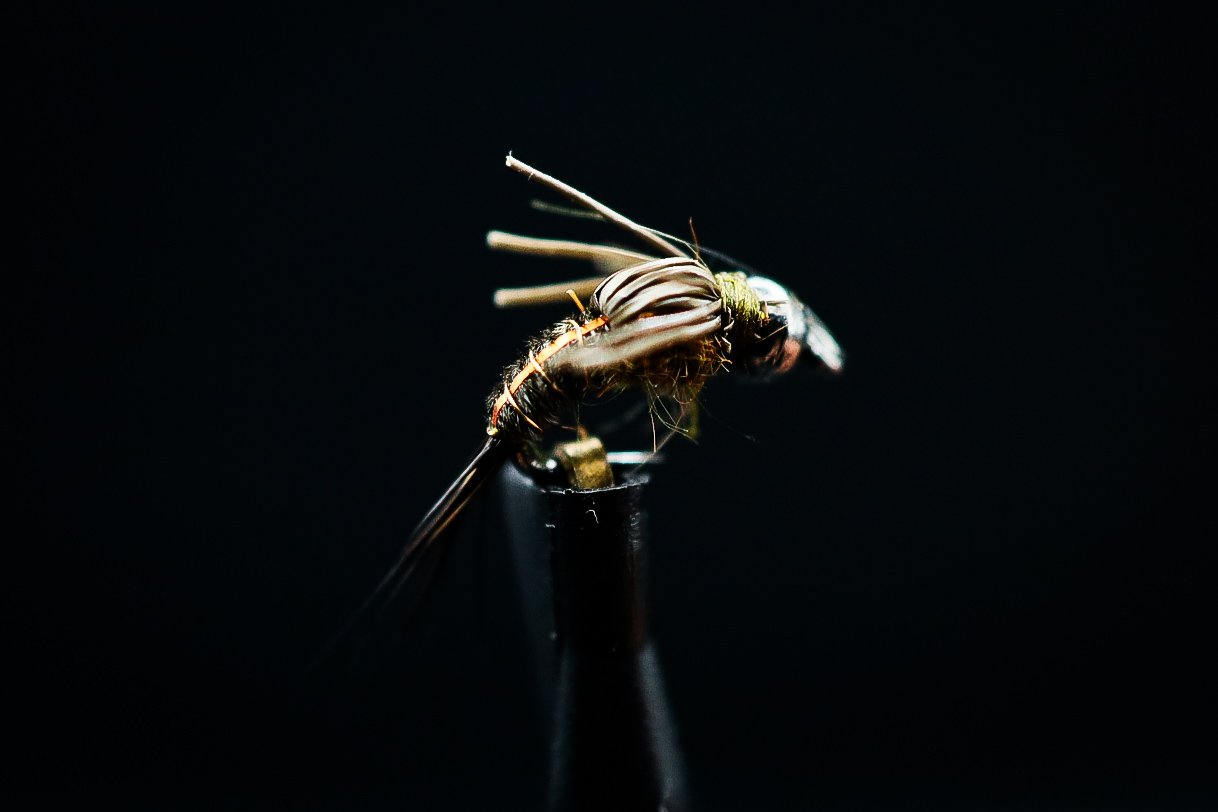 93232F18-6584-41A7-81FC-C882E8362AD9.jpeg