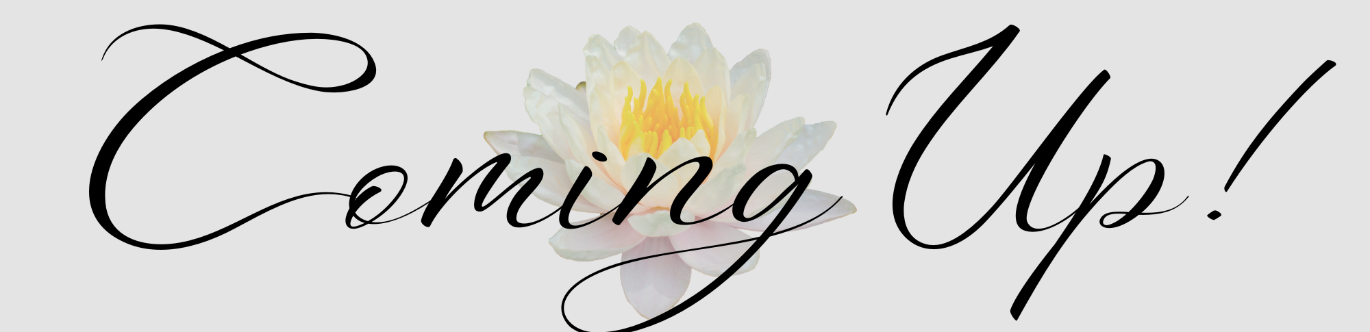 Text that says 'Coming Up!' with a white water lily flower behind it.