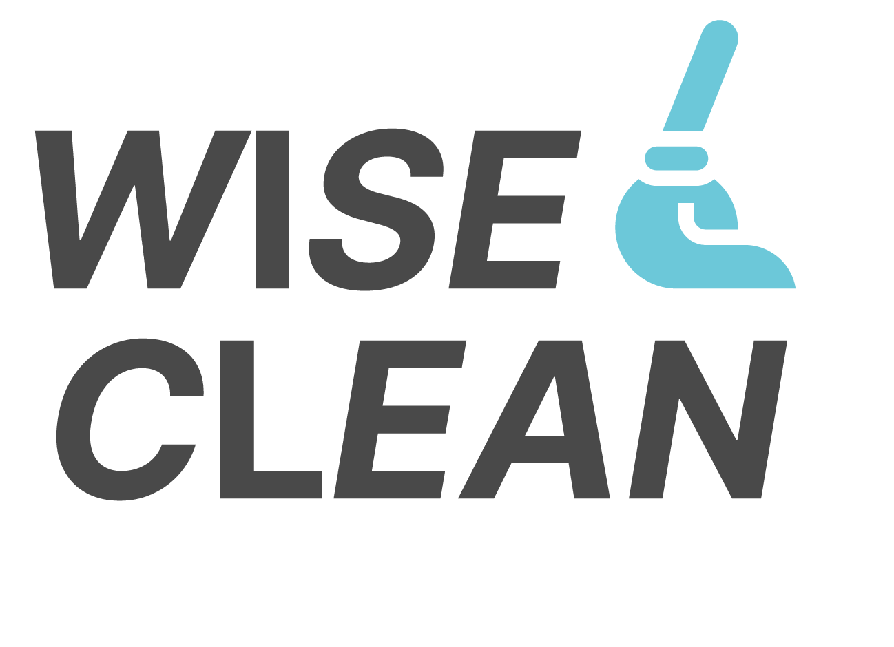 WiseClean