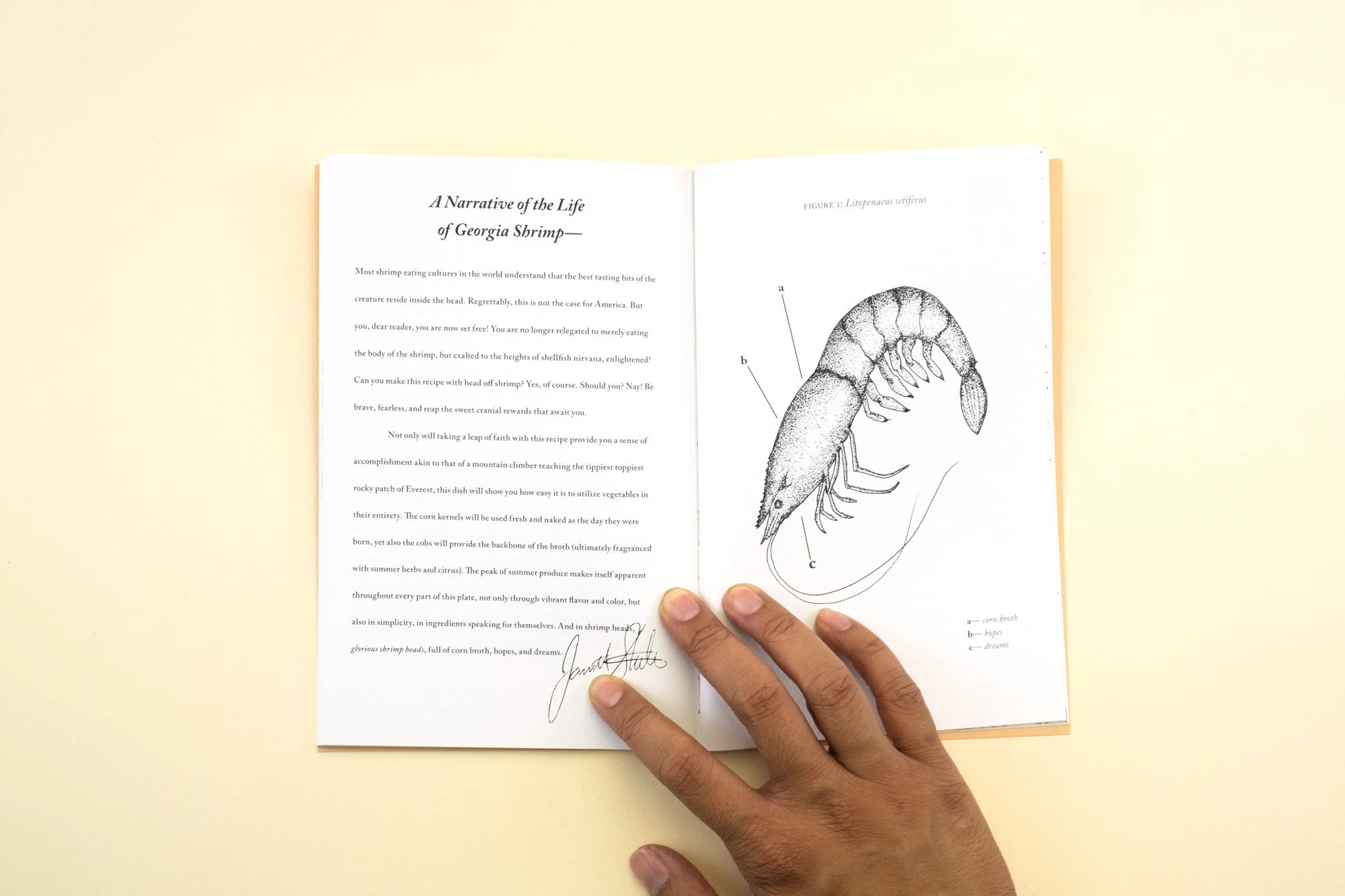 The Summer cookbook featuring a shrimp illustration in the style of a scientific image, with a letter on the left side written by the chef who developed the recipe