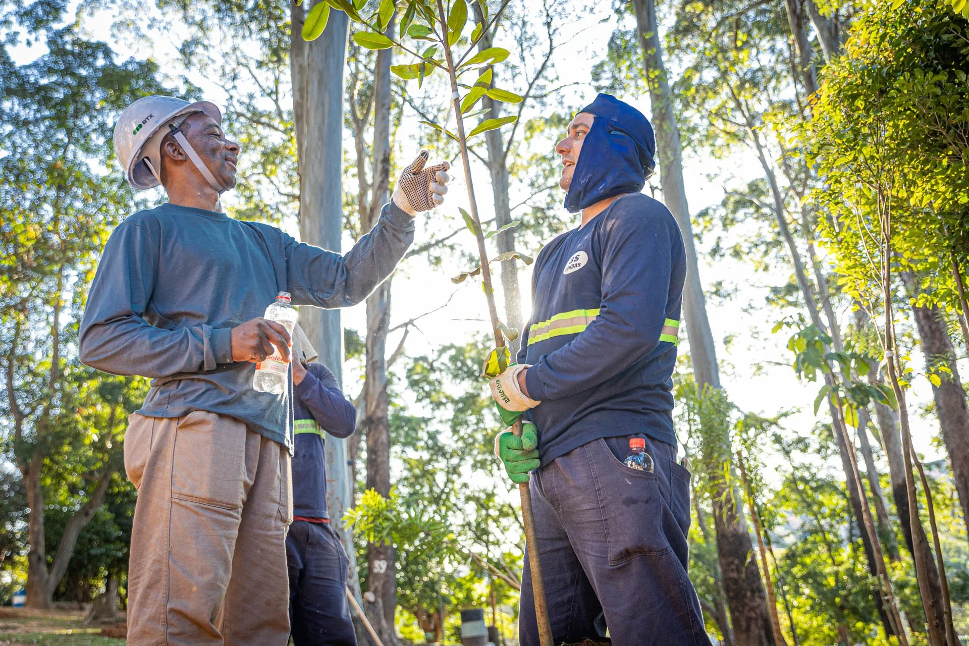 BTX celebra o Dia da Árvore com plantio bem-sucedido de 51 espécies 