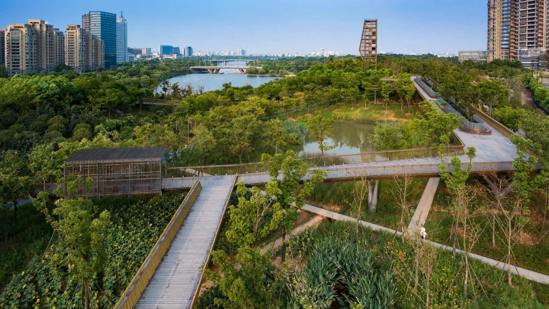 Quzhou Luming Park Floating Bridge.jpg