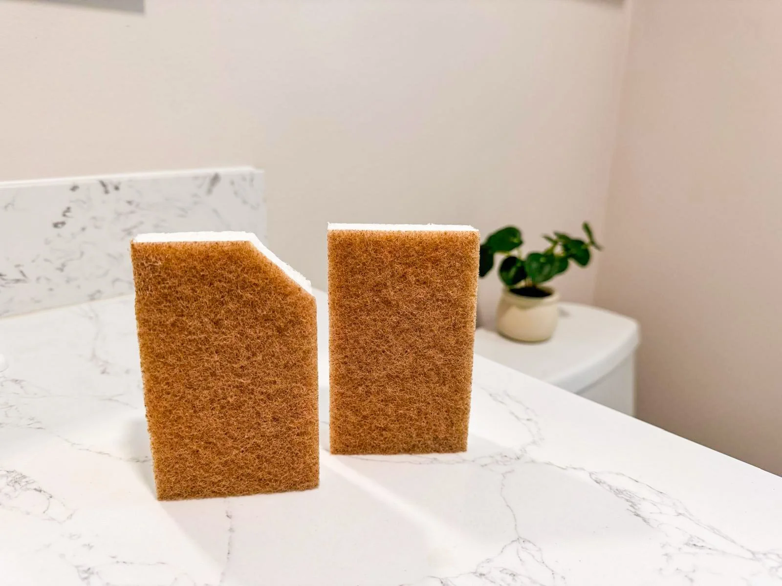 Cómo evitar confundir las esponjas del baño: un truco que funciona