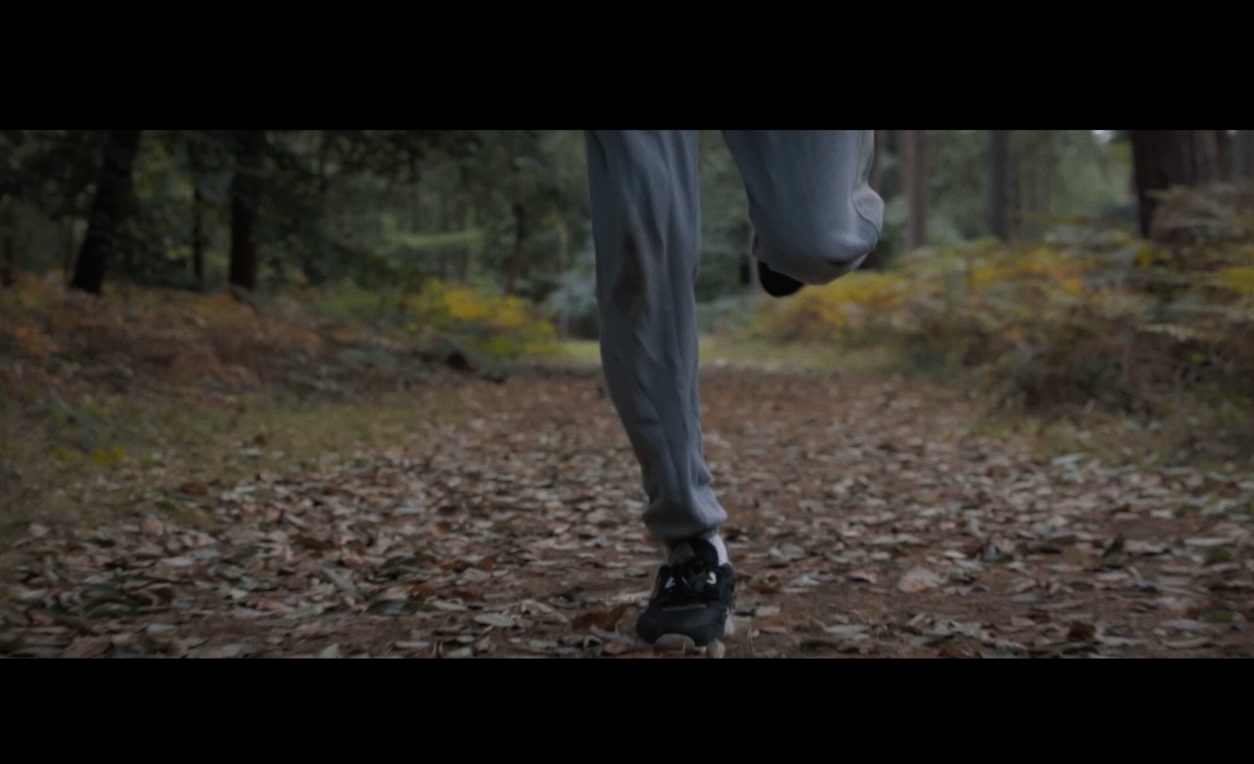 Screenshot 2026-02-26 at 13.48.42.png