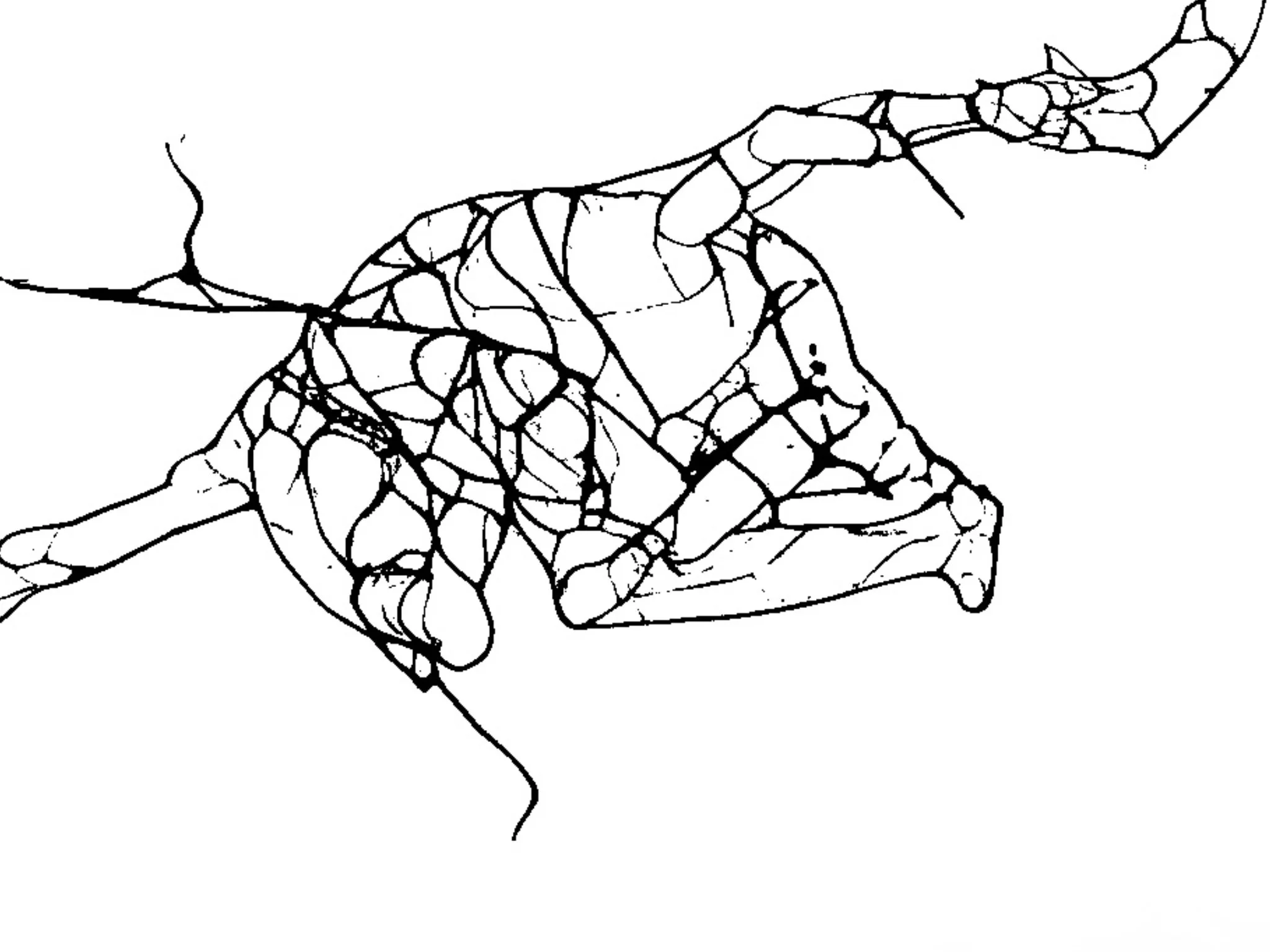 D879BE2F-F84F-46DE-8E14-D1BB113C8E5C.JPG