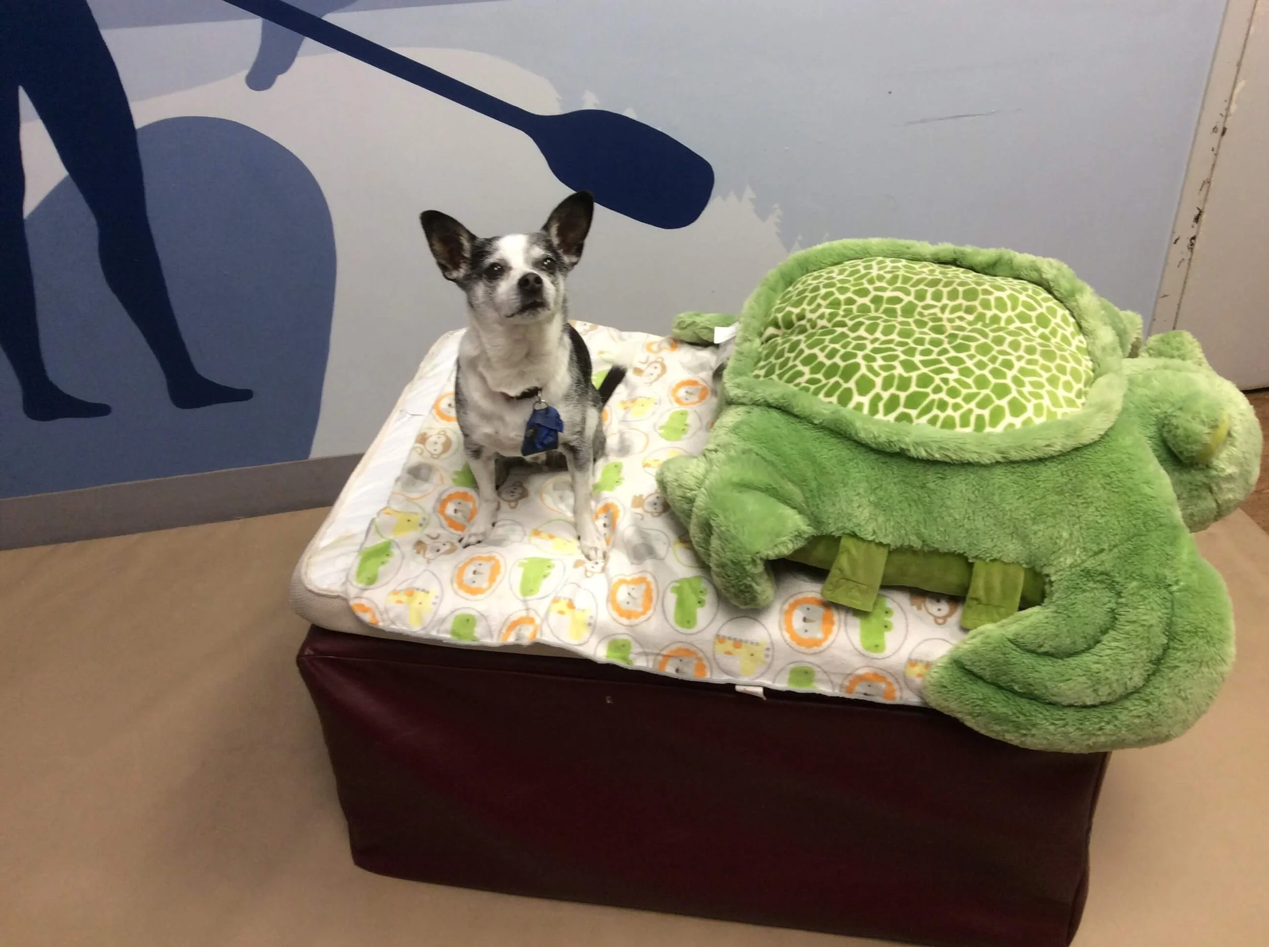 Stuart on matress.JPG