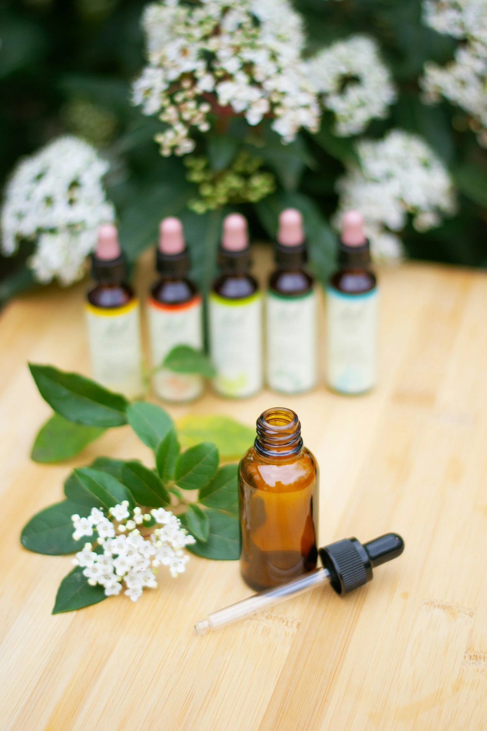 Image of natural remedies