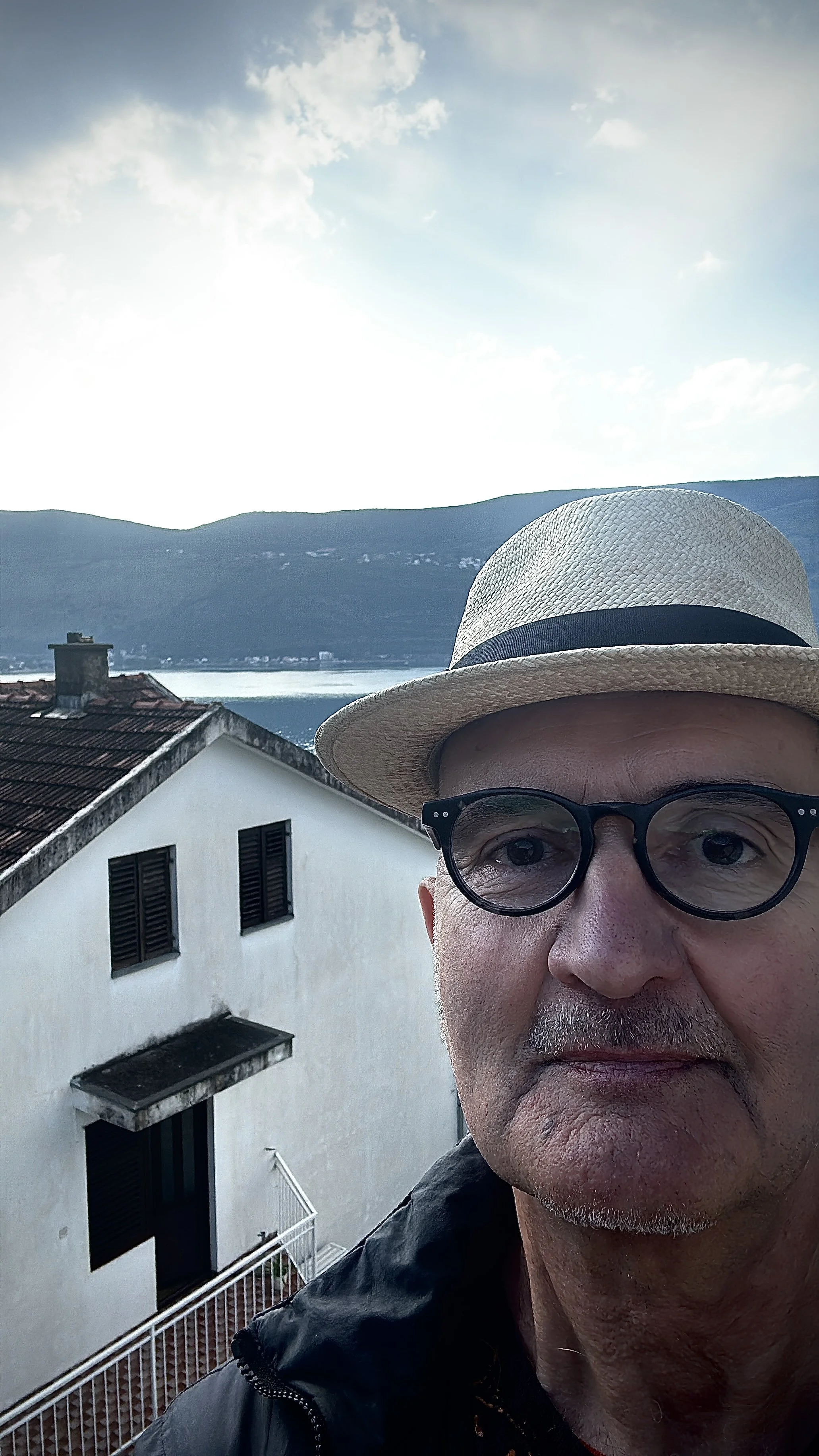 Pavle Radonić - prose