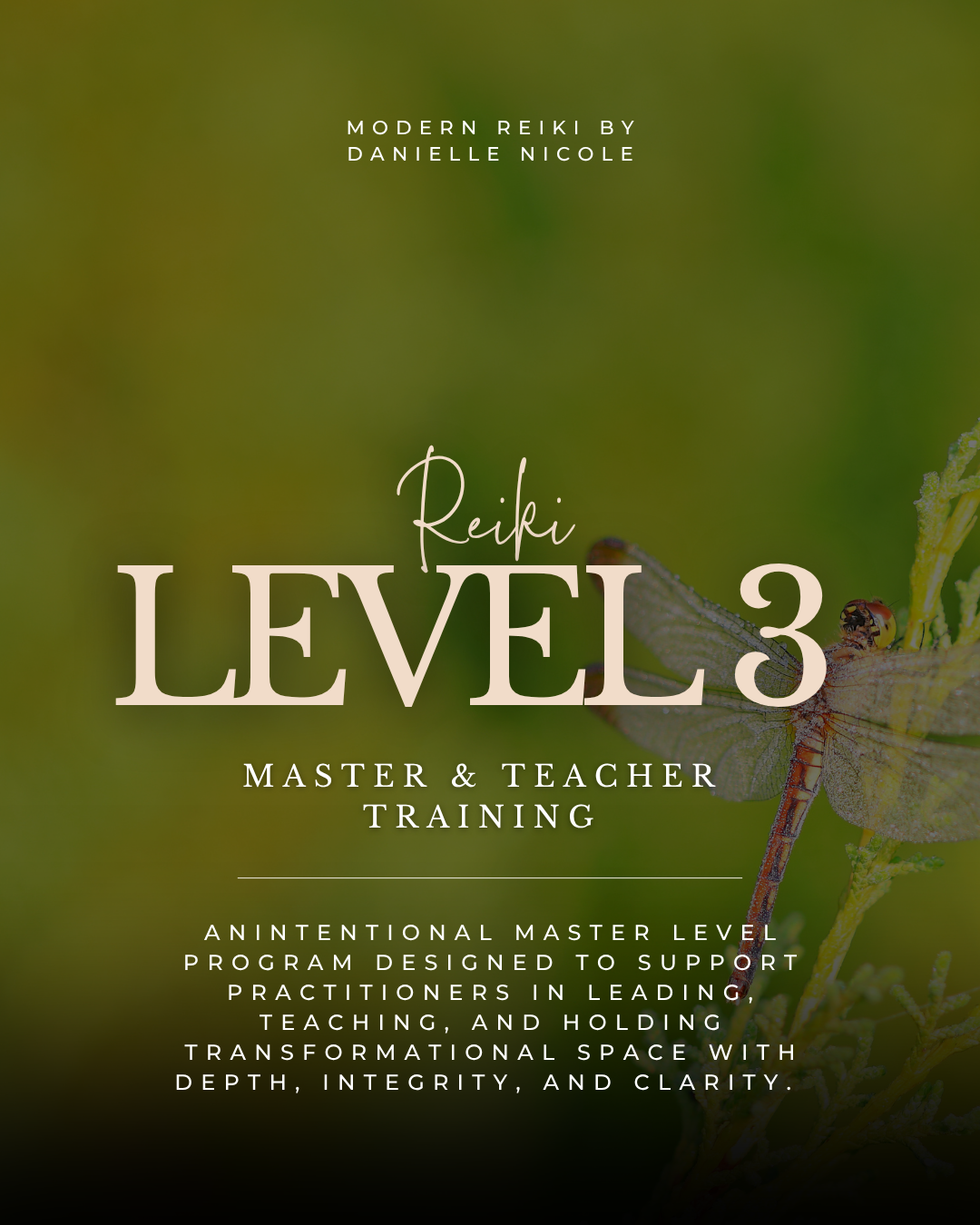 Reiki Level 3 [Master & Teacher Training]