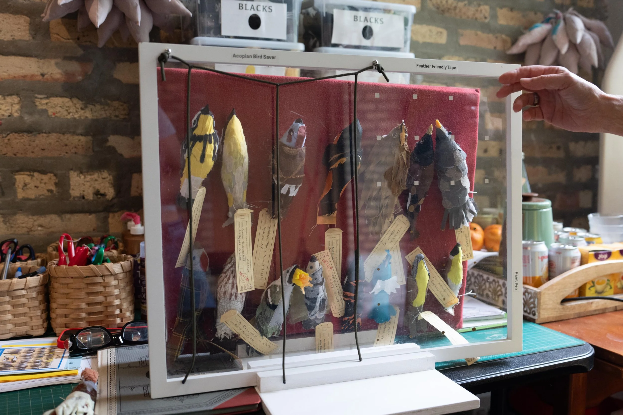 Greenberg says people can implement easy fixes to prevent window strikes. Some methods she suggests are making Acopian Birdsavers, using window collision tape or marking windows with a paint pen.
