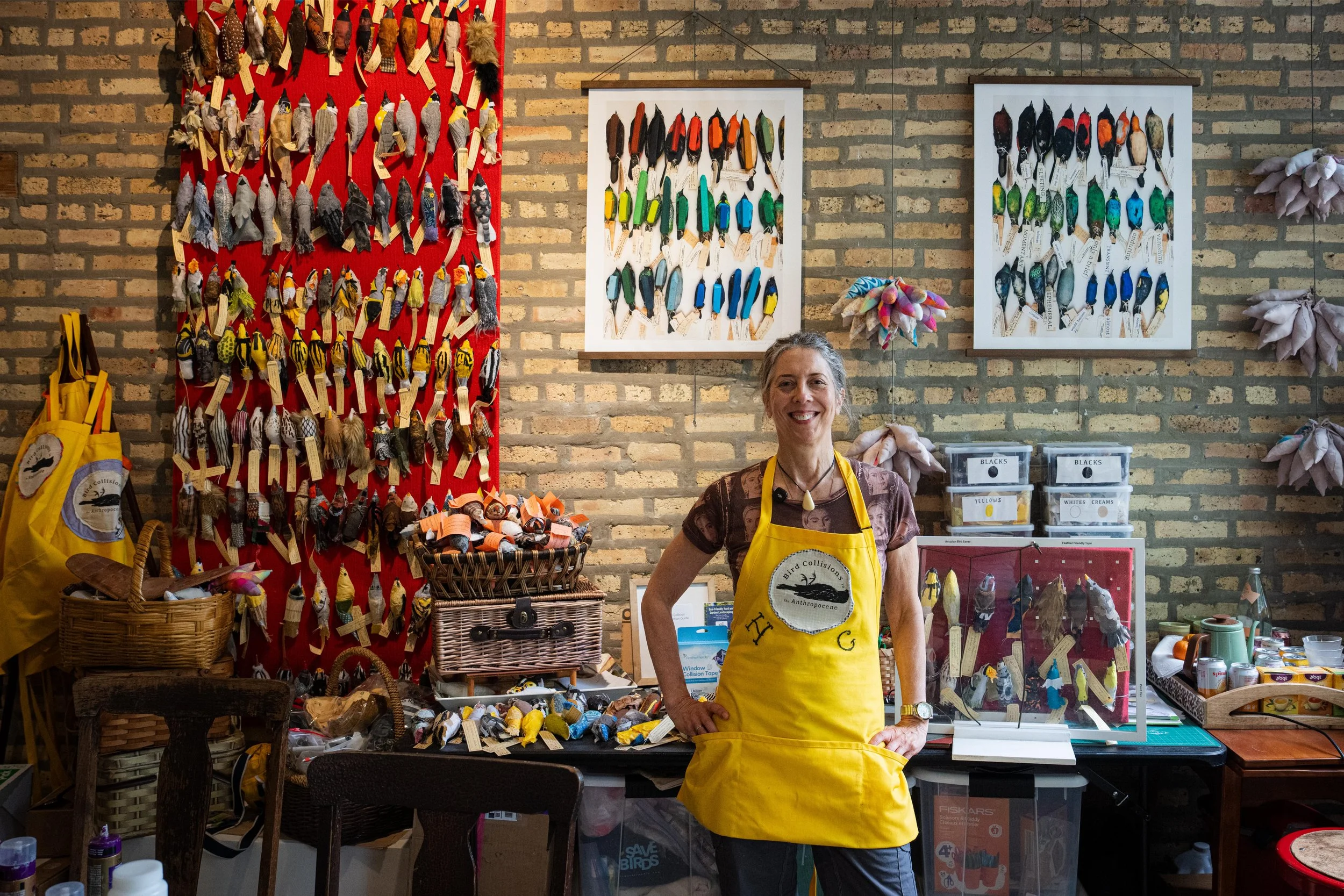 Holly Greenberg founded the Bird Collisions in the Anthropocene art project in 2023. She relocated the project from Syracuse, New York to Evanston in fall 2023. Now, her studio sits on Greenleaf Street in the West Village business district.