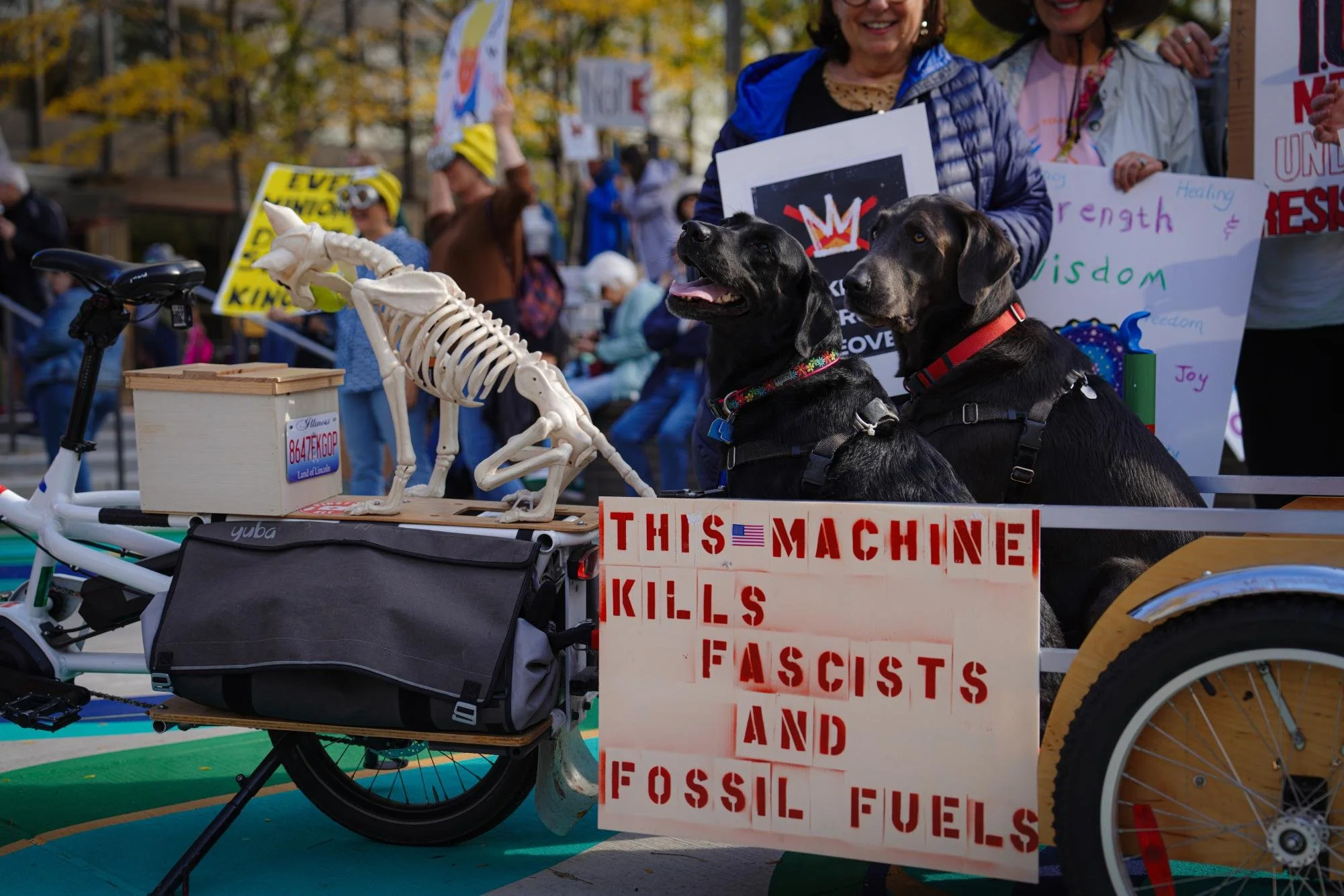 Shadow and Ash look towards the ongoing protest.