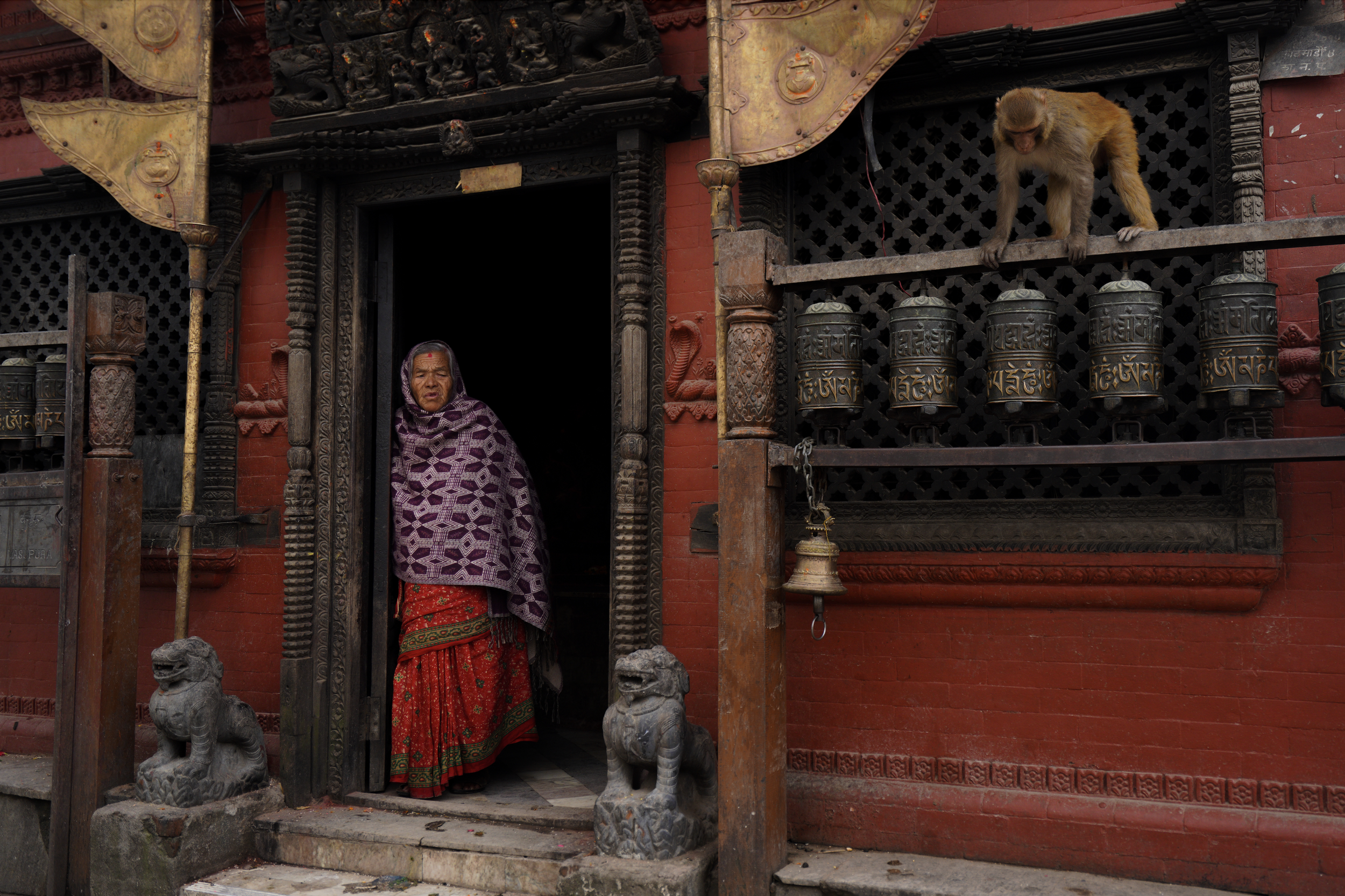 Screenshot 2025-10-26 at 10.55.11 PM.png