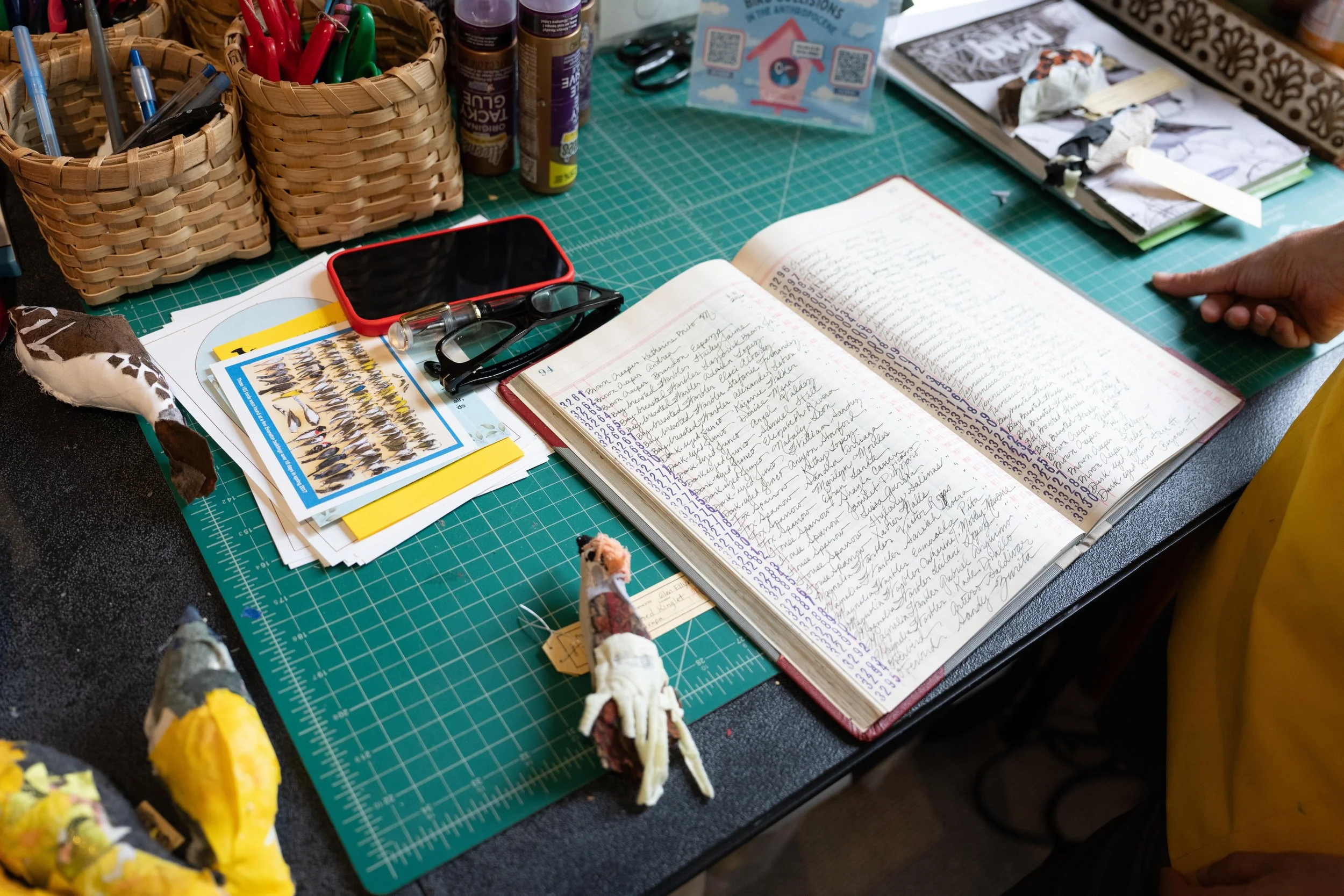 After each bird is created, Greenberg types out the information into a digital database and writes it down in a ledger.