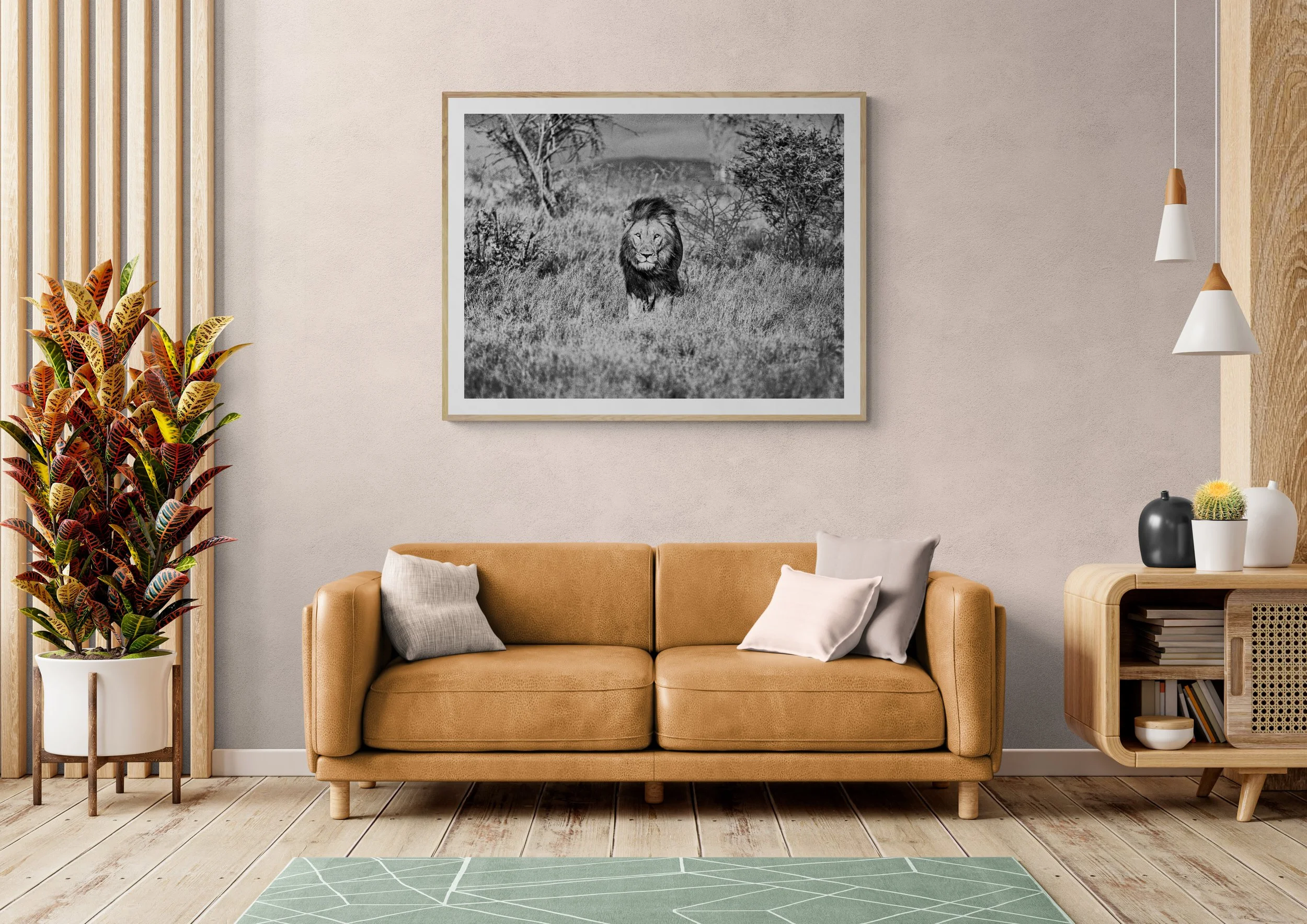 Luxury living room with a beautiful framed photo of an African Lion hanging above a nice leather couch.  