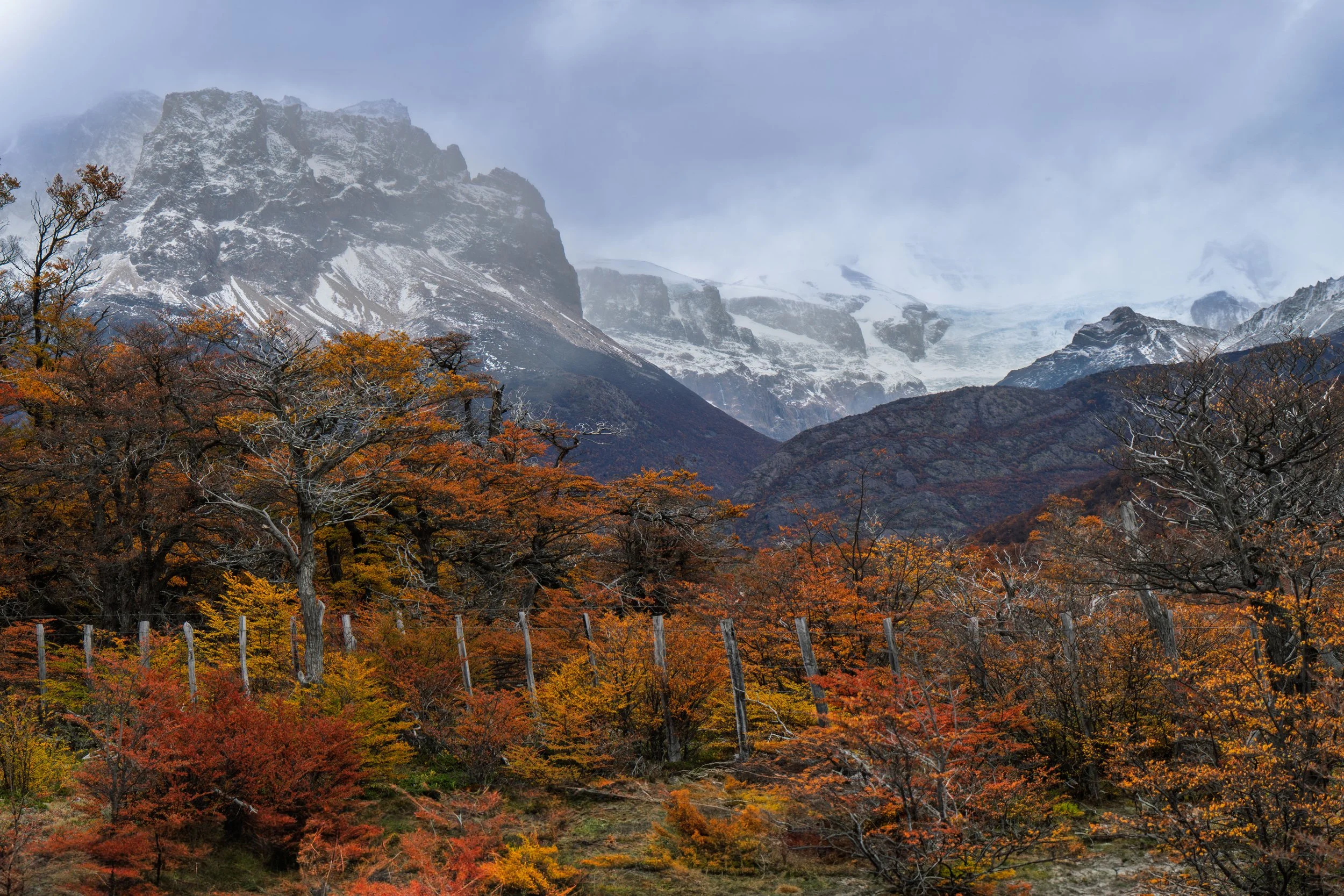Whispers of Fall in Patagonia