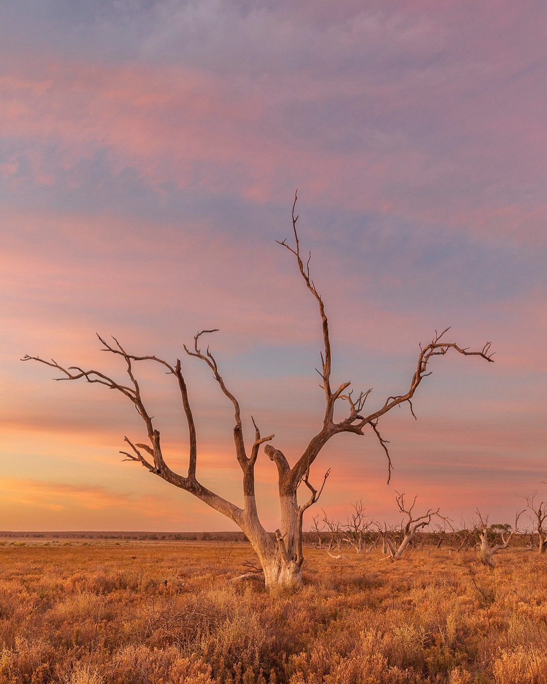 Sometimes you don&rsquo;t have to move far to see things completely differently! These two images were taken standing in the exact same spot, on the edges of a fast evaporating lake just outside Mildura.

While shooting the first tree and the amazing