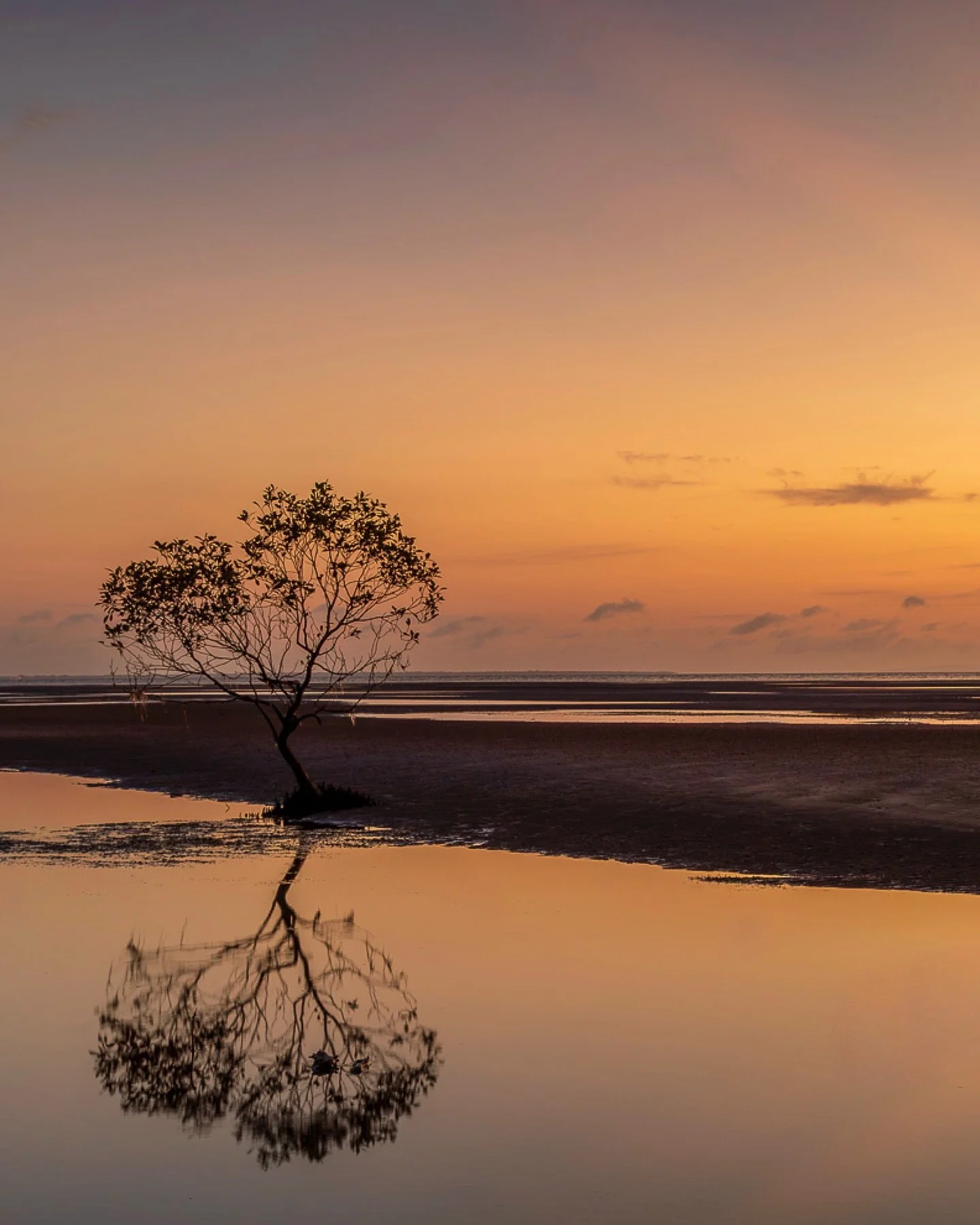 A very peaceful sunrise at Beachmere this morning!

Almost got stuck in the mud - @kimandersonimages @photographyby_kell

#beachsunrise #visitqueensland #coastalviews #pastelskies #lonetree #mangroves #lowtide #landscapephotography #igers_landscape #