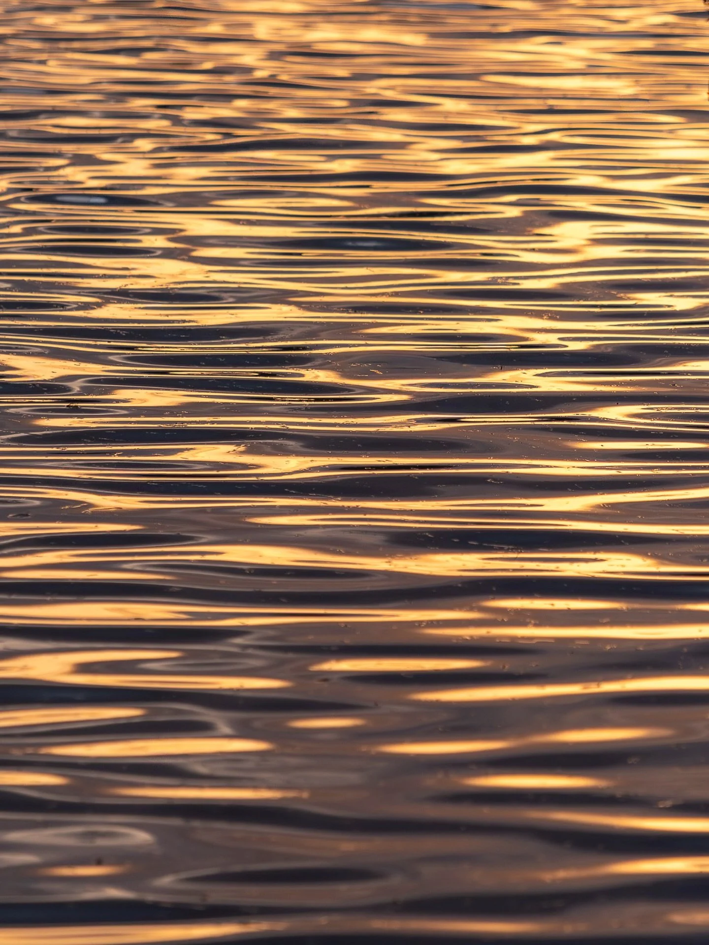 Watching the water ripple and move this afternoon for today&rsquo;s #thetravelphotographyclubmeet.

#sunset #water #waterripples #sunsetlight #goldenhourglow #travelphotographyclub #naturelovers #peacefulmoments #sunsetvibes #eveninglight