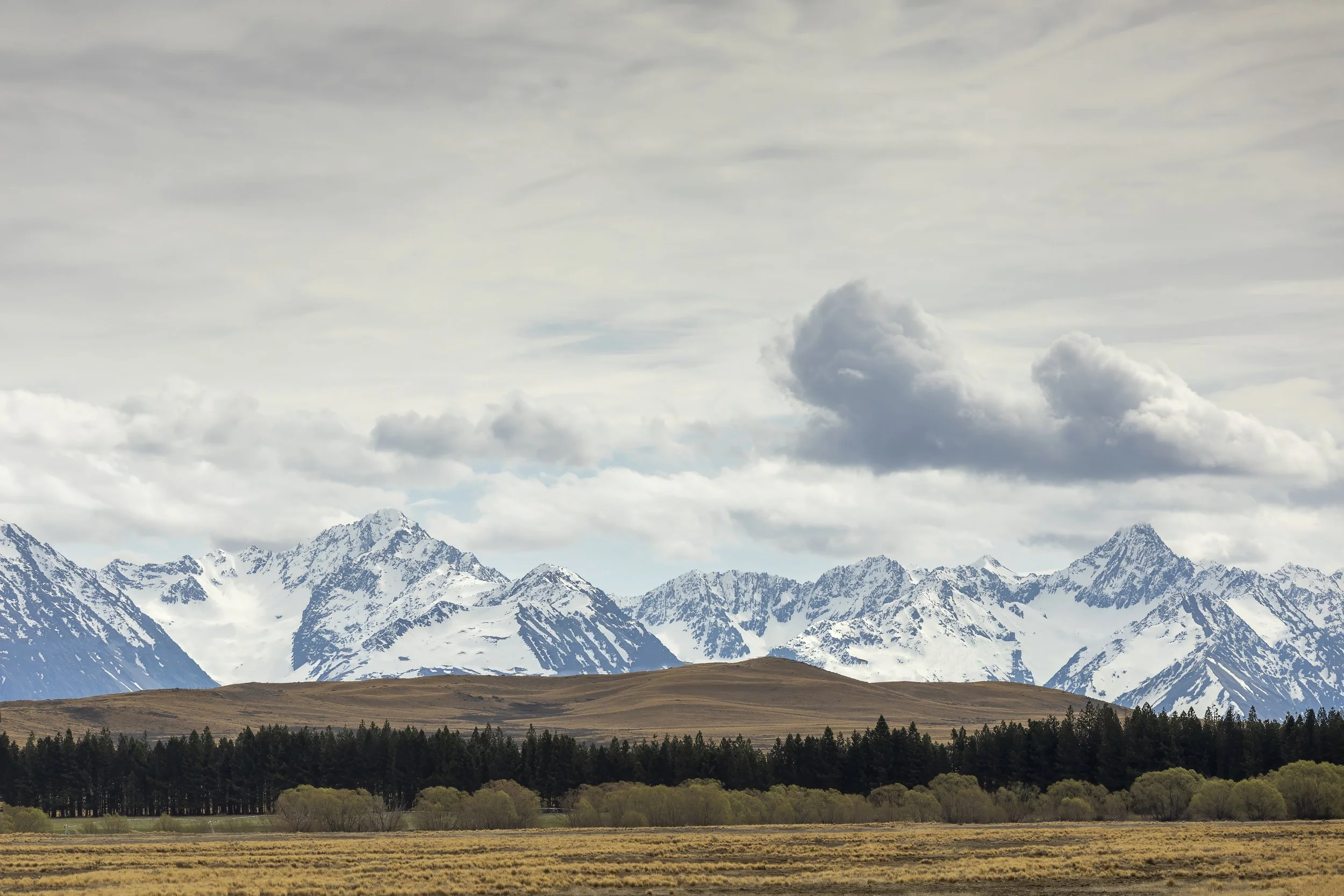 Creating Calm: Why Nature Photography Belongs in Every Home