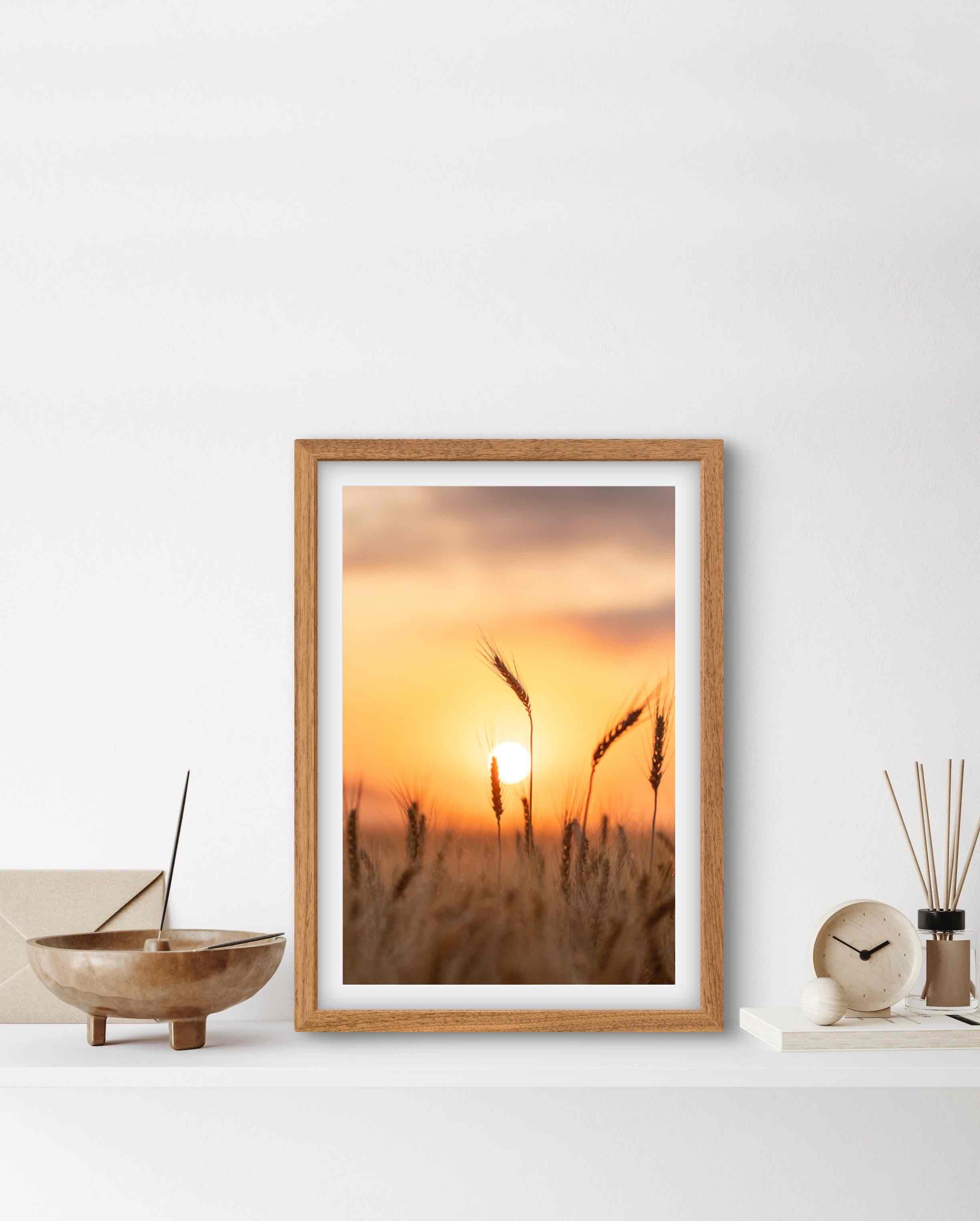Golden-glow-wheat-field-sunrise-rural-wall-art.JPG