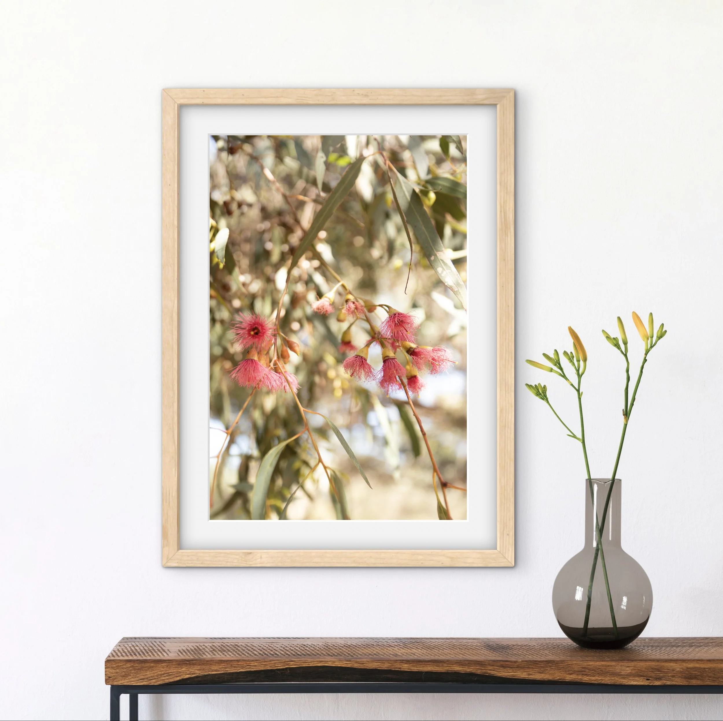 Eucalyptus_Blossom_gumnut_native_flower_fine_art_print.JPG