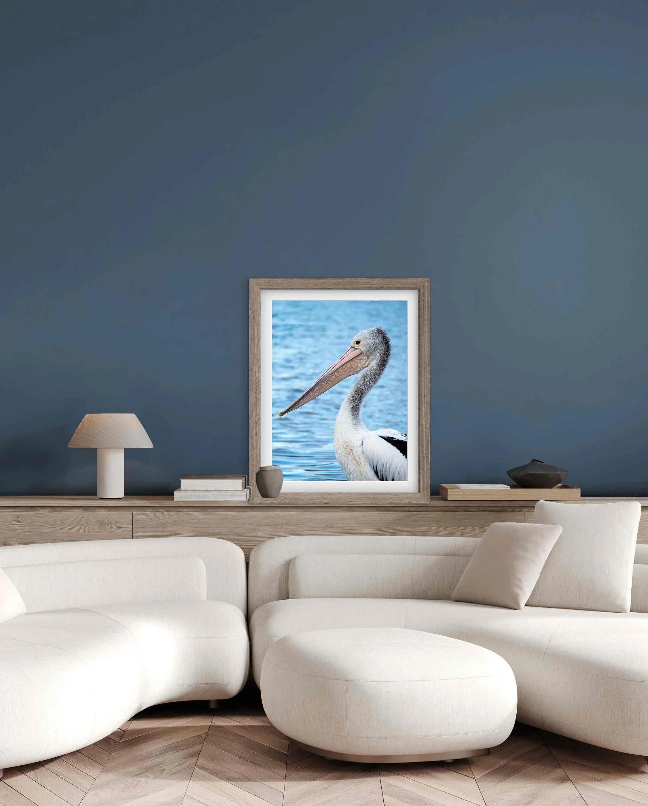Pelican-Portrait-sea-bird.jpg