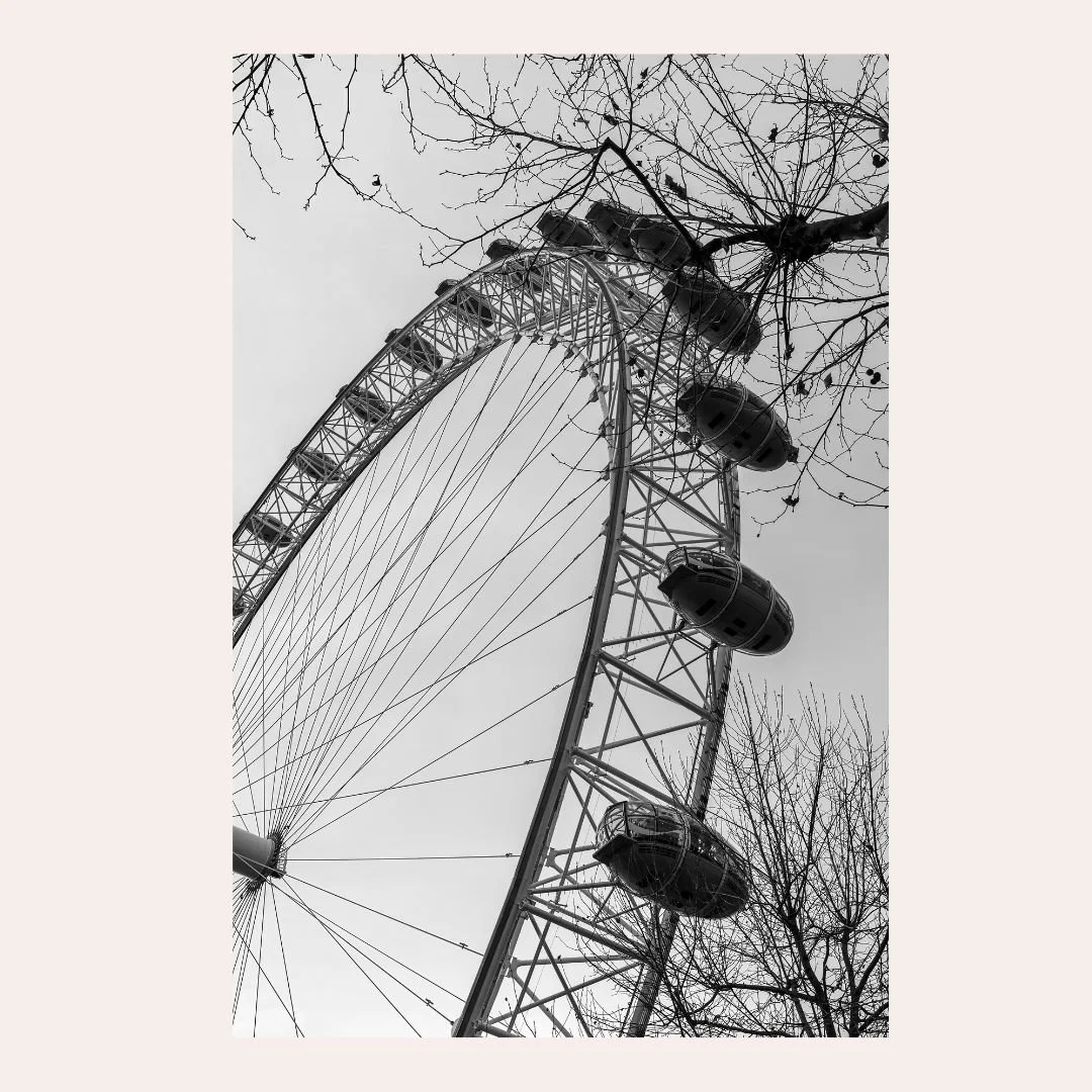 Winter Eye