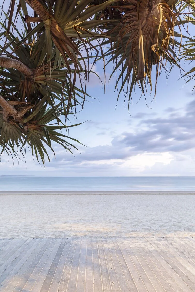 Empty Noosa Main Beach boardwalk at sunrise with pandanus trees, soft blue sky and calm ocean on a cloudy morning.