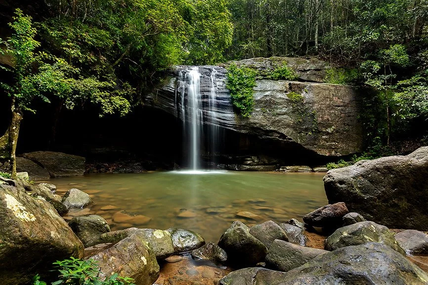 Small waterfall flowing into a pond surrounded by rocks and lush green trees in a forest.