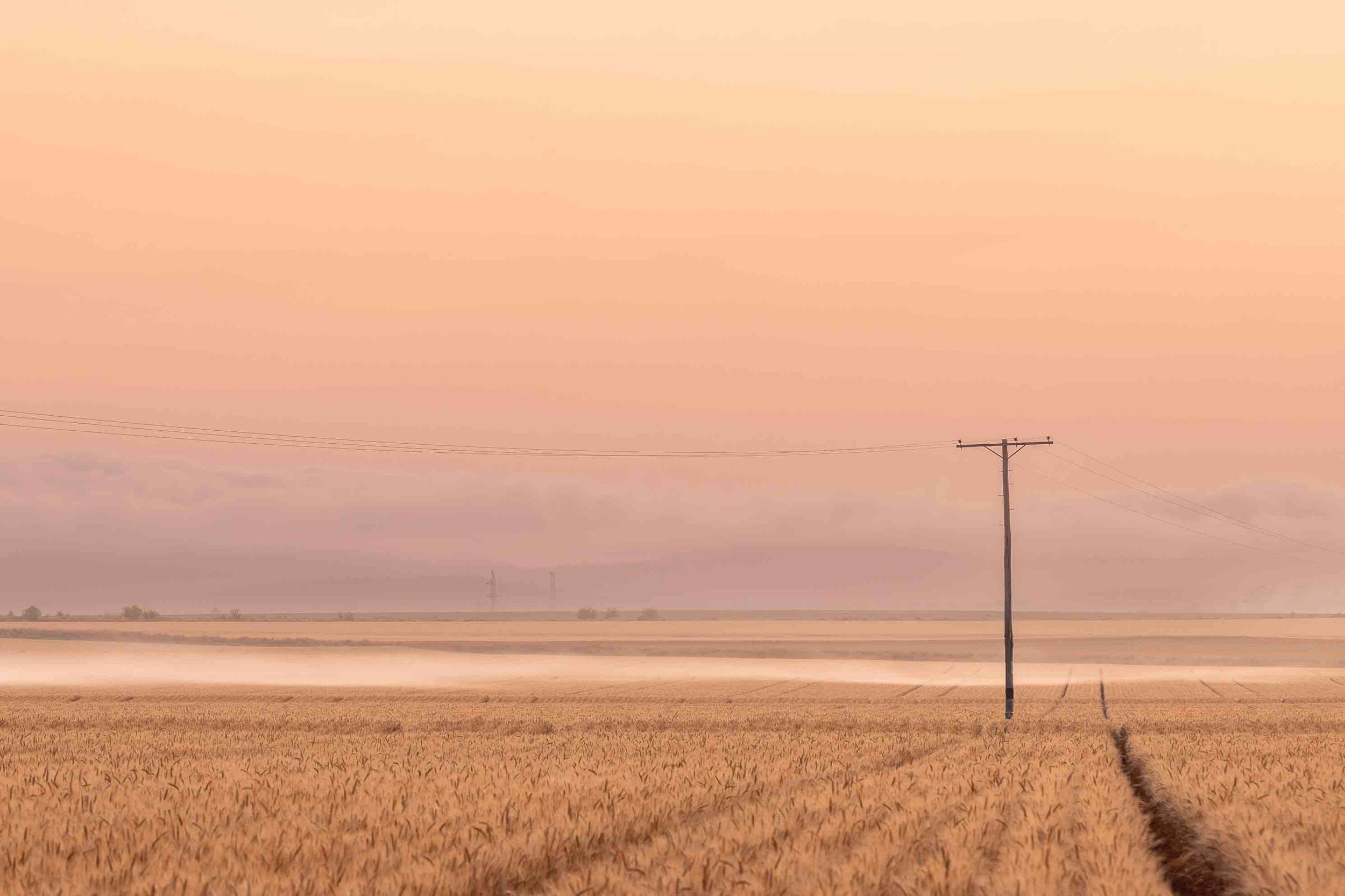 Biloela-Queensland-Australia-Sunrise-Wheat-Fields-pastel-photography-print-wall-art.jpg