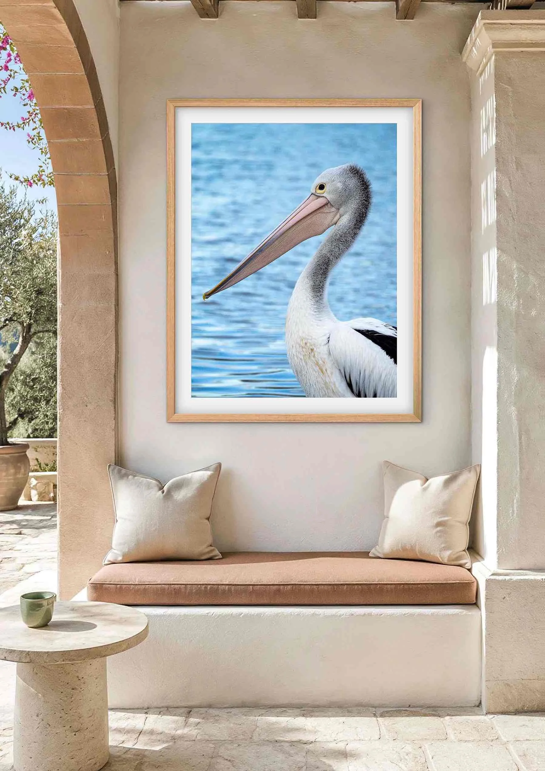 Pelican-portrait-sunshine-coast.jpg