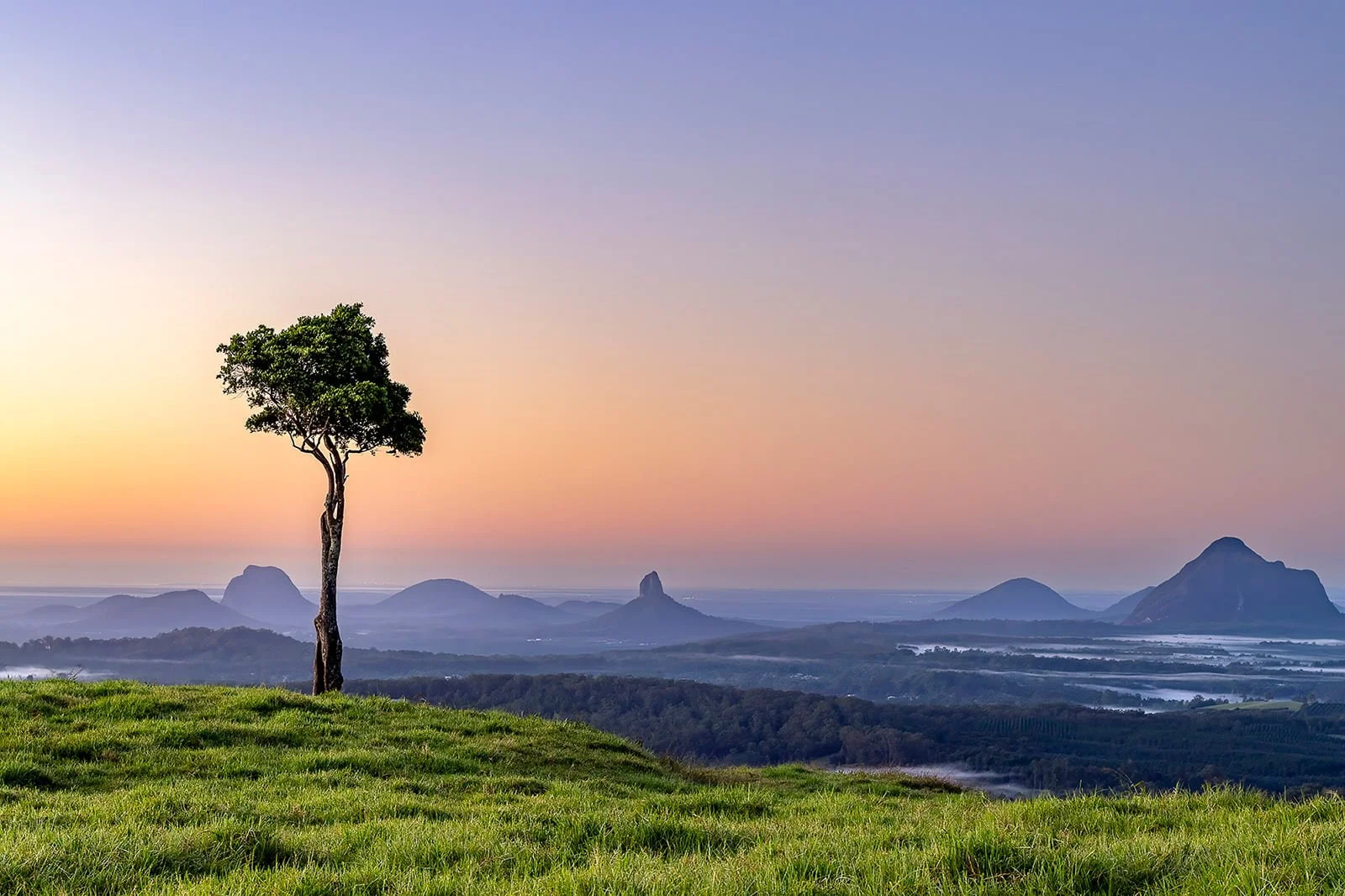 A lone tree overlooking the Glass House Mountains at sunrise from One Tree Hill in Maleny, Queensland, beneath a soft pastel sky.