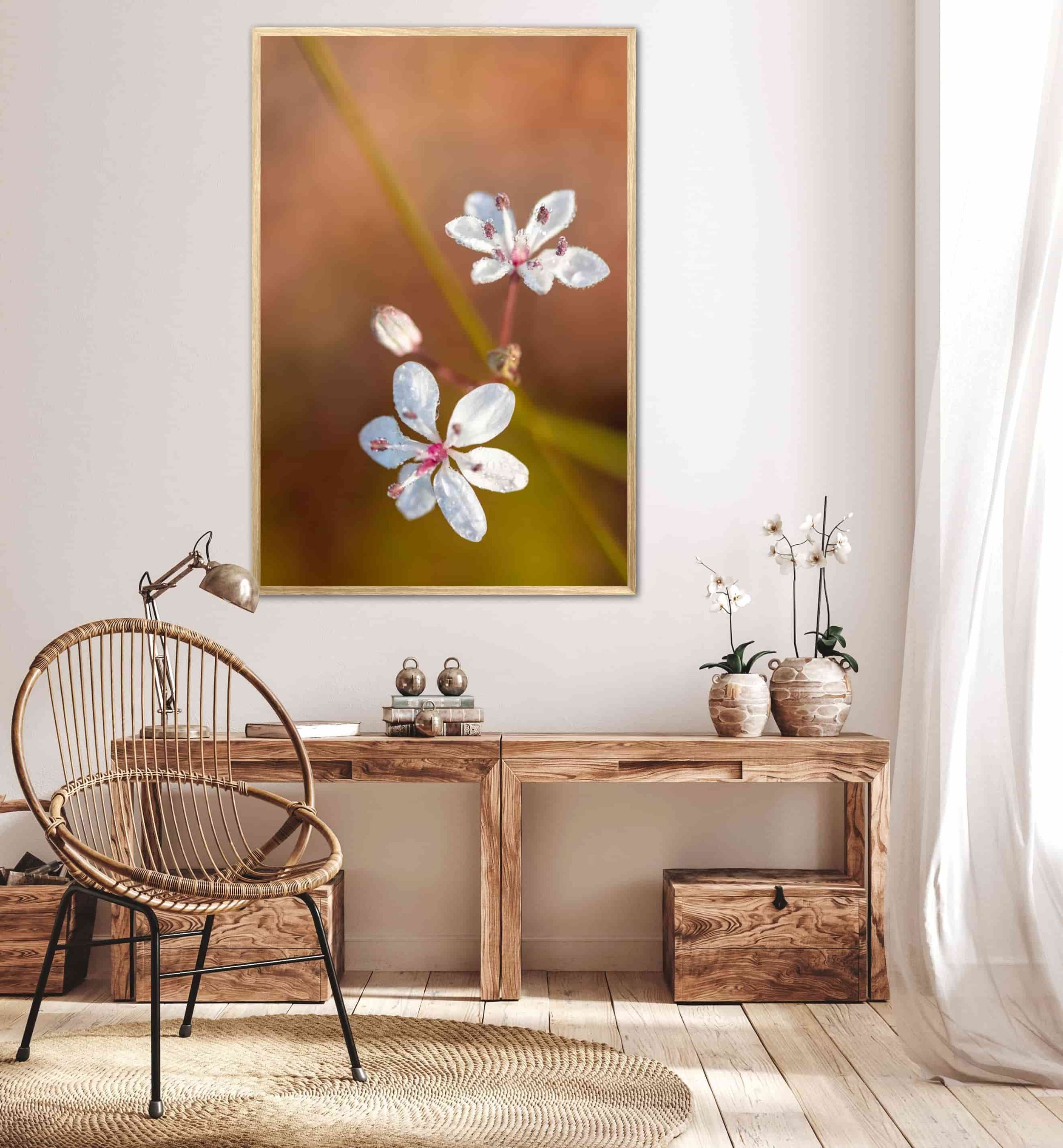 Fine art photography print featuring delicate white wildflowers covered in dew drops against a soft warm-toned background, displayed in a light timber frame above a wooden console table in a neutral styled interior.