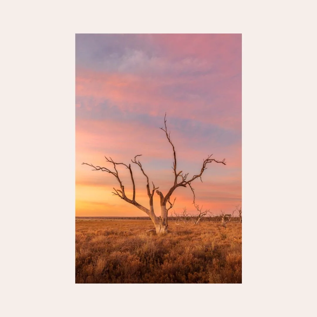 Mildura Magic-fine-art-print-sunset.jpg