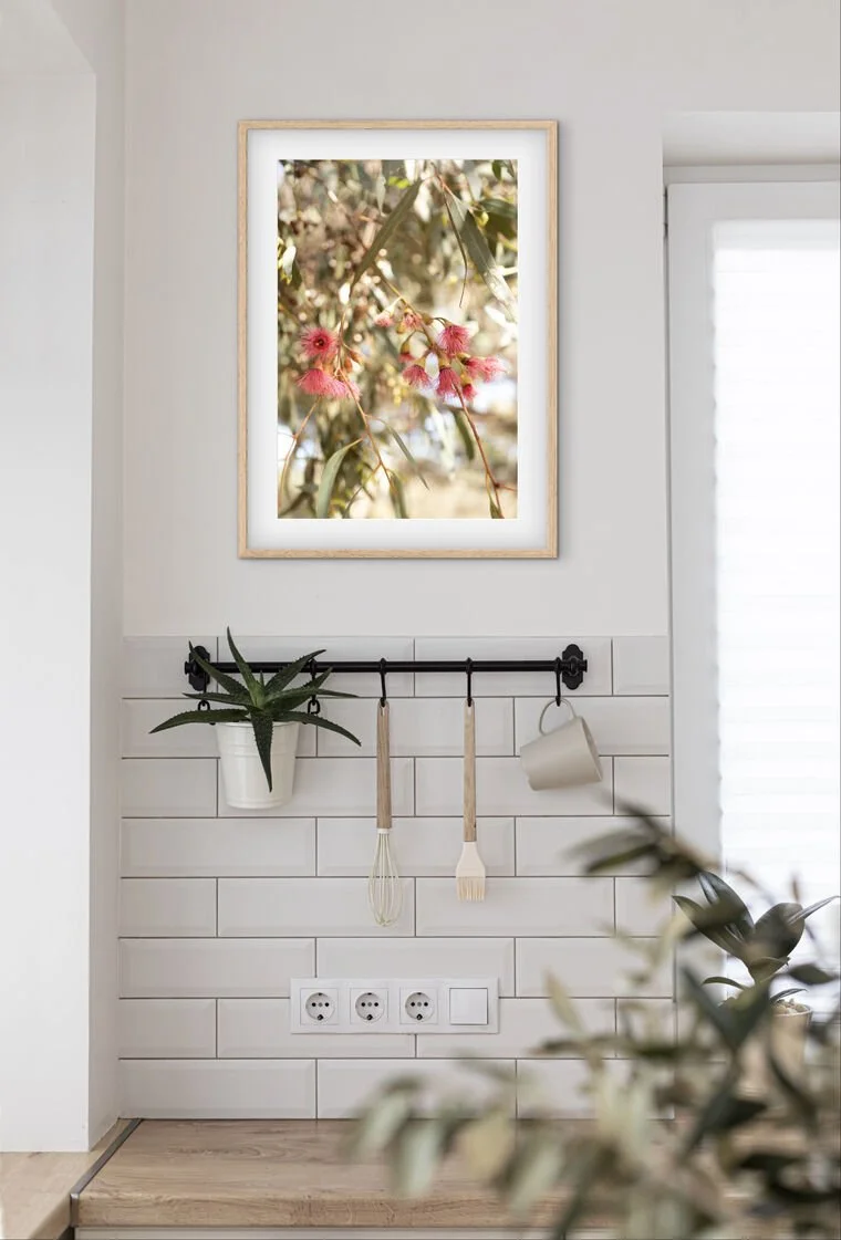 Eucalyptus_Flower_Pink_Floral_Photography_Print.jpg