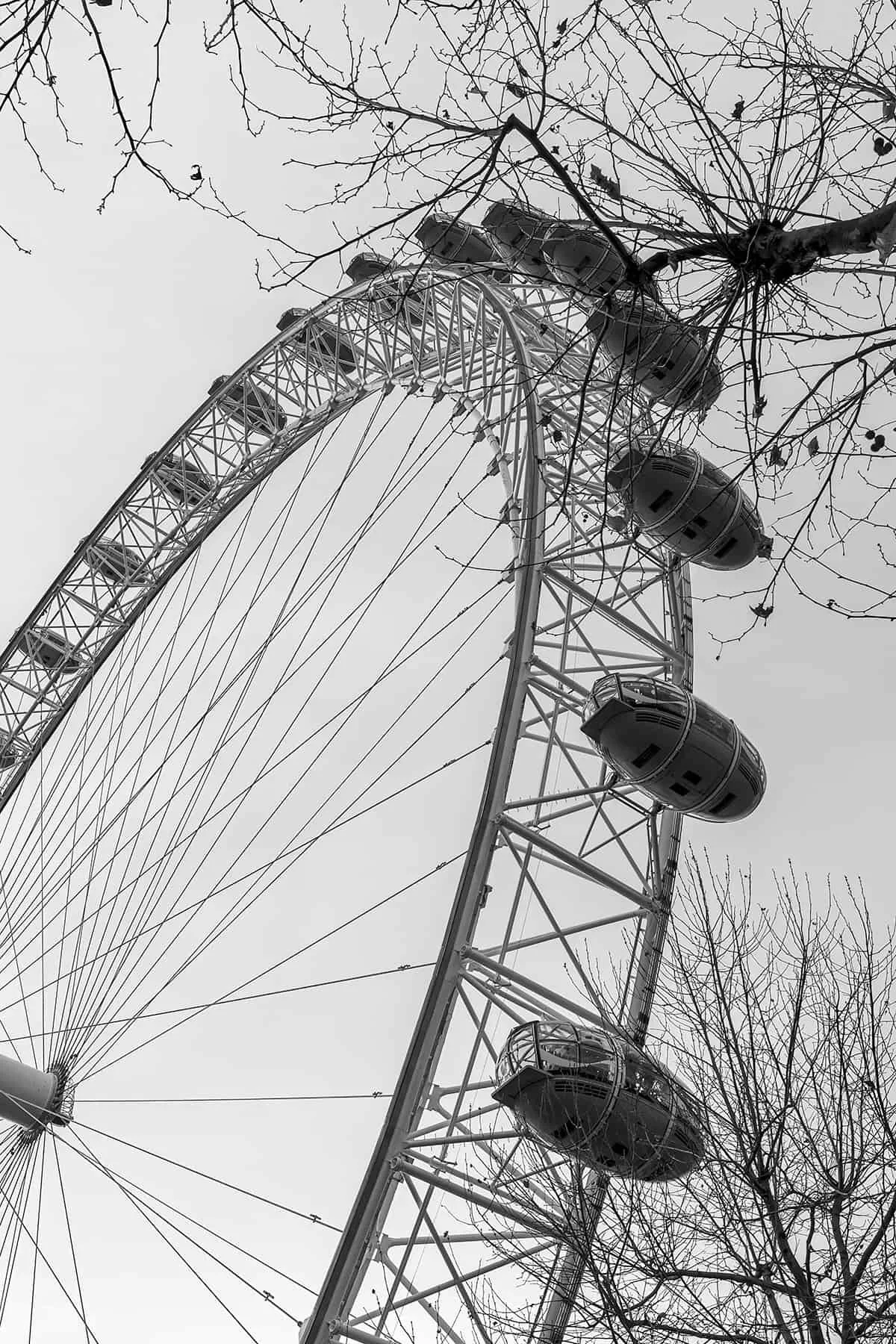 Winter-Eye-fine-art-photography-print.jpg