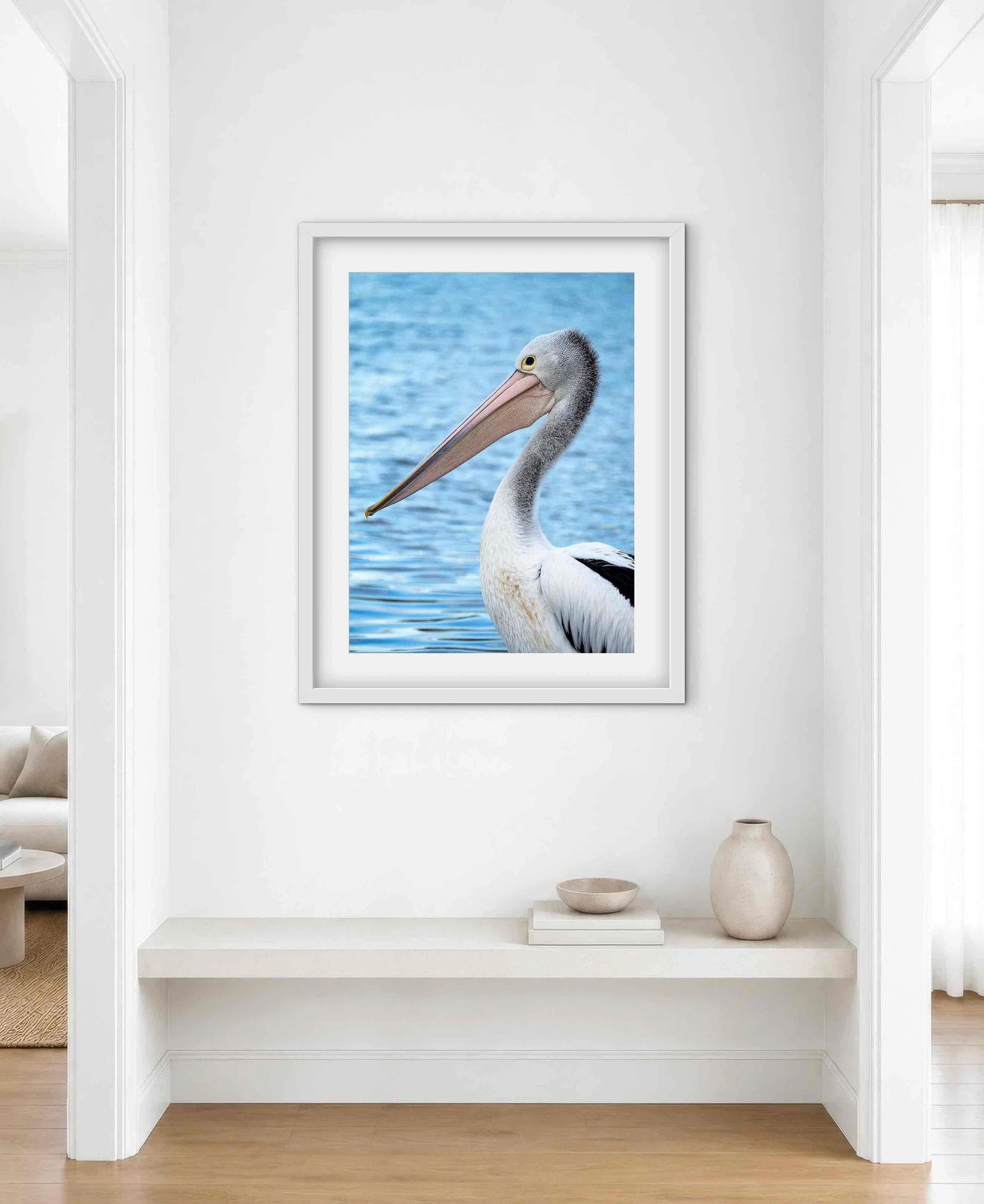 Pelican-Portrait-Head-and-beak.jpg
