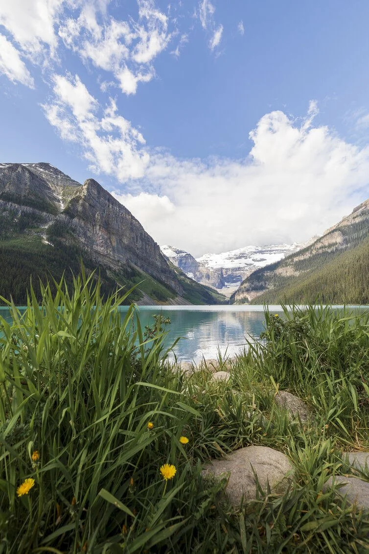 Lake Louise in Banff National Park Canada with turquoise water, alpine mountains and forest reflected in the lake