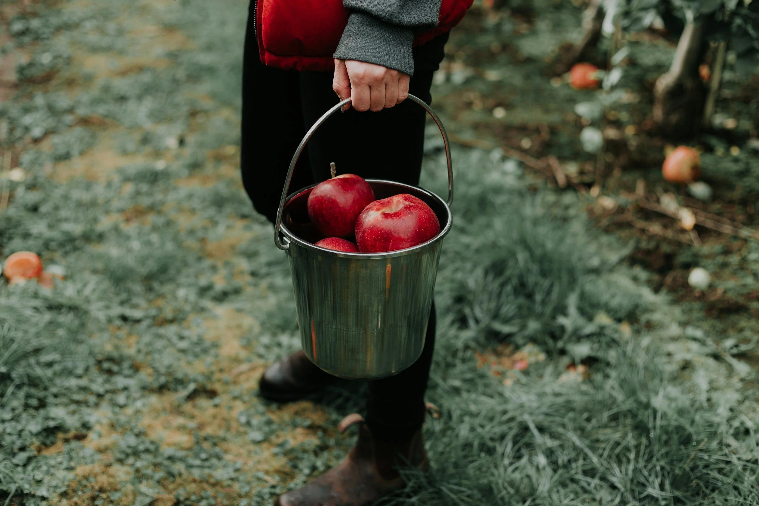 YOUR FALL BUCKET LIST FOR LEGACY PLANNING