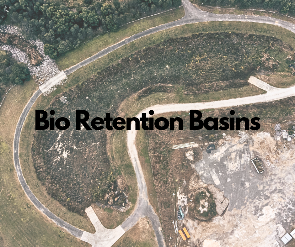 Copy of Untitled Design (8).png