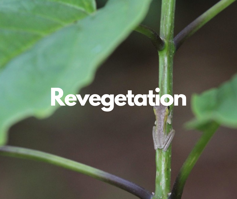 Copy of Untitled Design (9).png