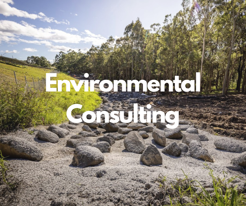 Copy of Untitled Design (4).png